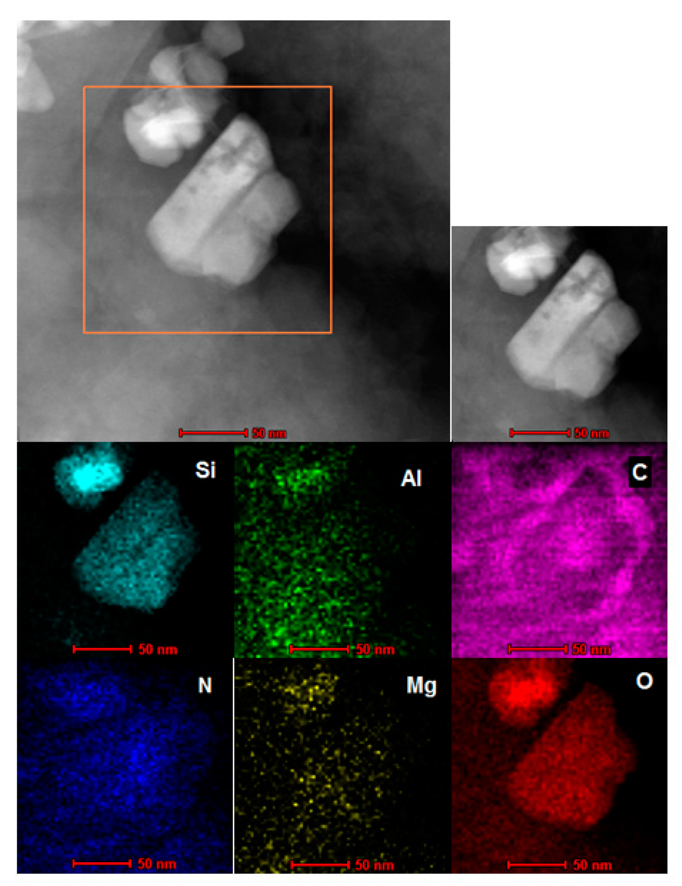 Ijms 23 03051 g0a7 Ijms 23 03051 g0a7