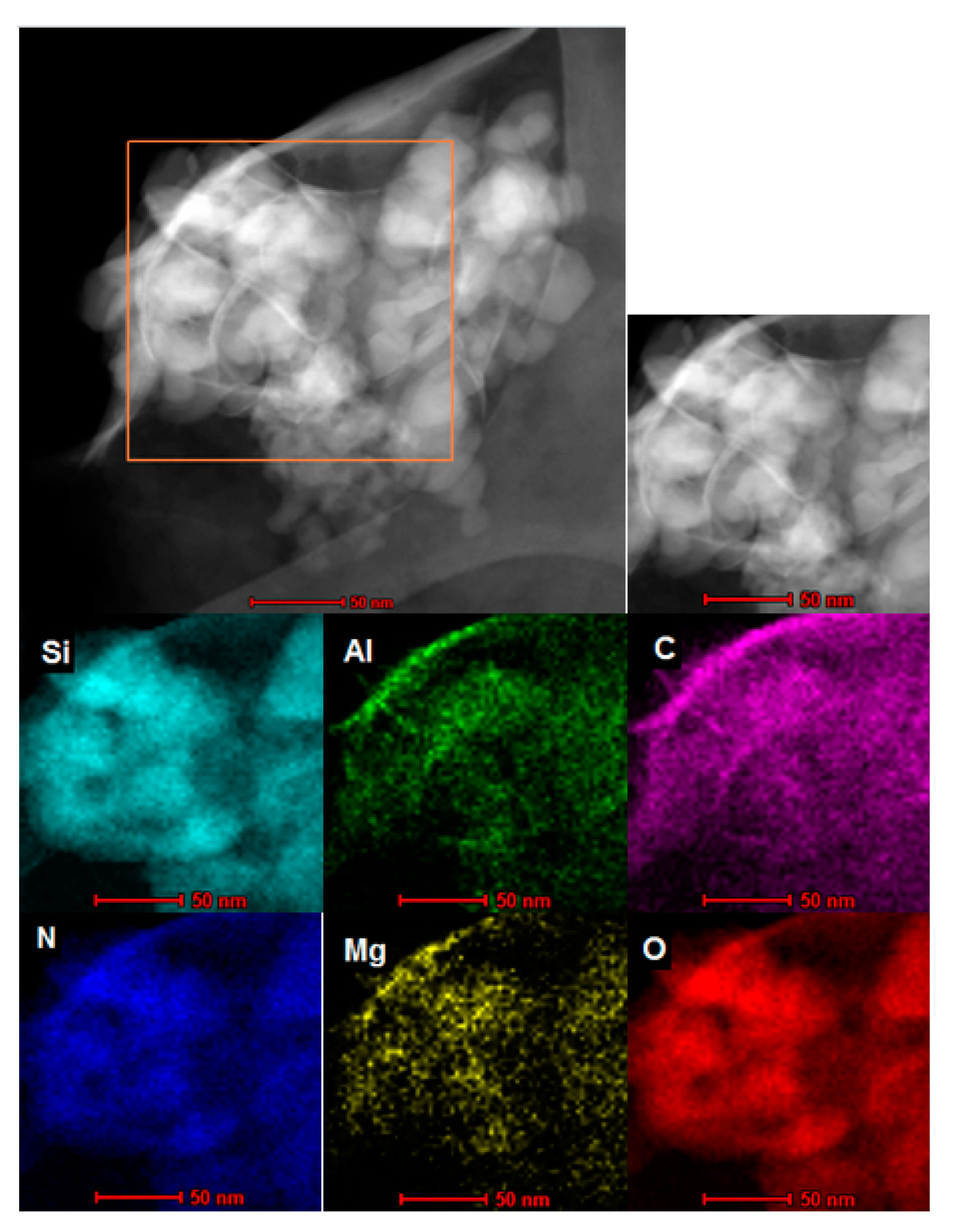 Ijms 23 03051 g0a8 Ijms 23 03051 g0a8