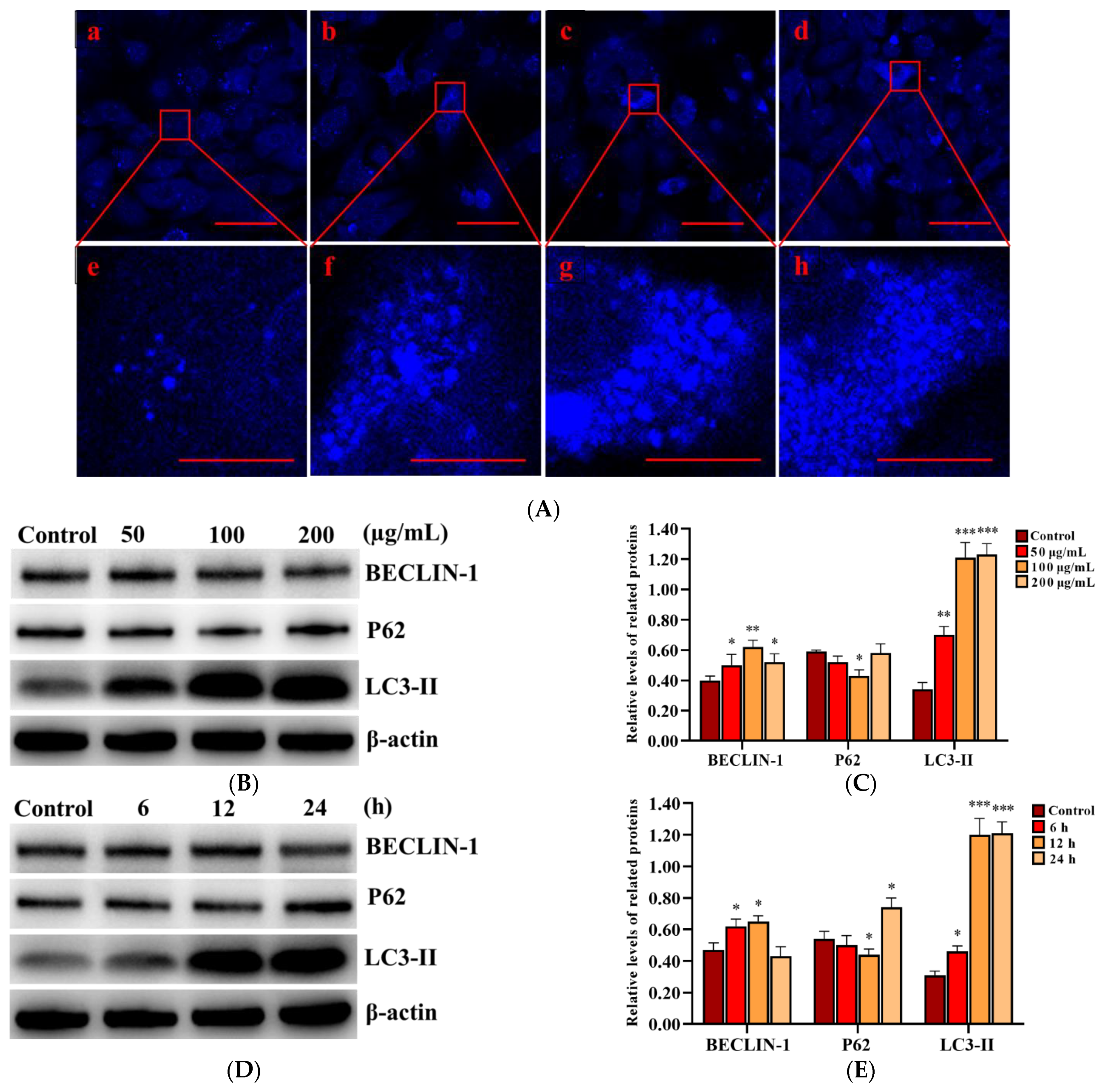Ijms 23 03104 g004 Ijms 23 03104 g004