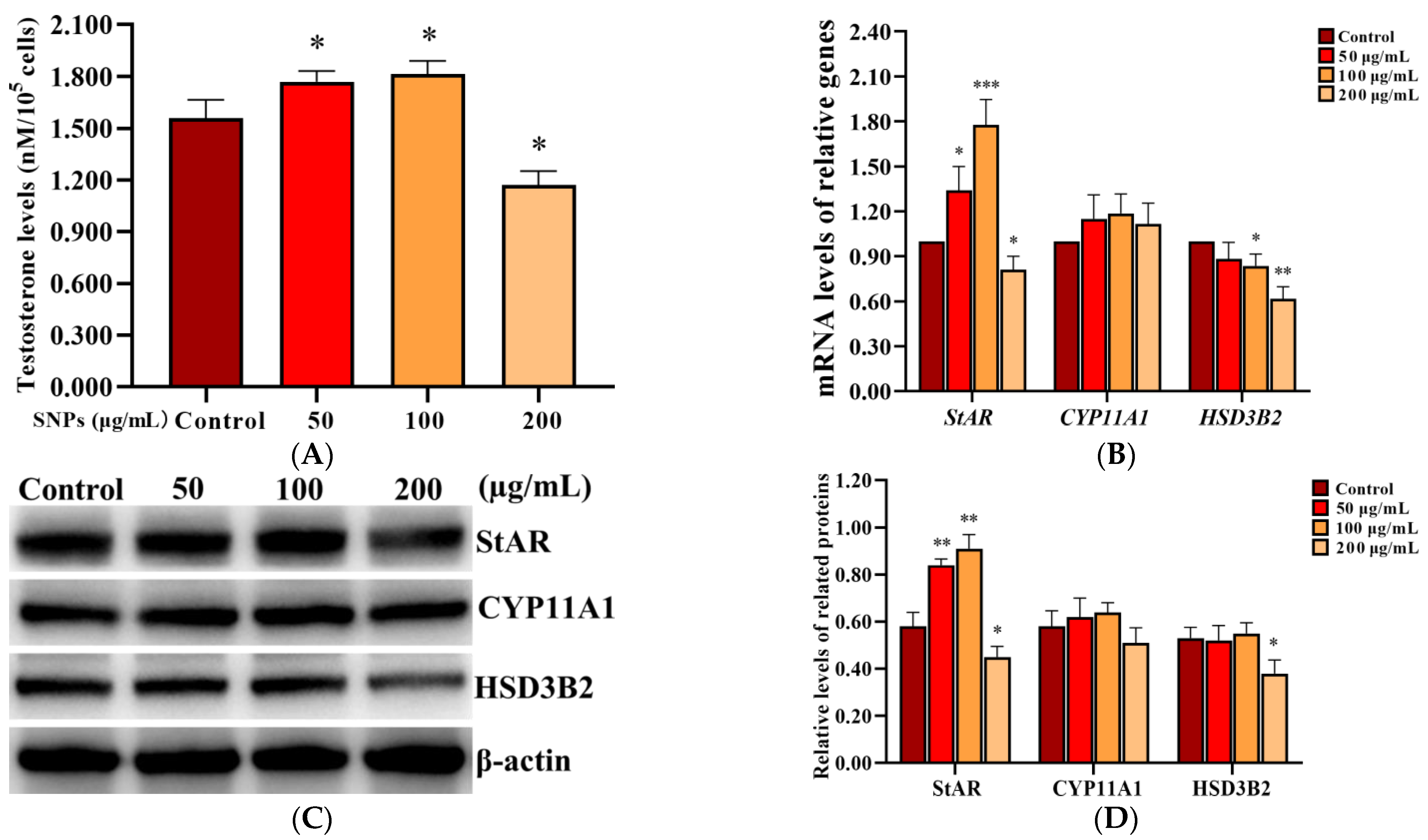 Ijms 23 03104 g005 Ijms 23 03104 g005