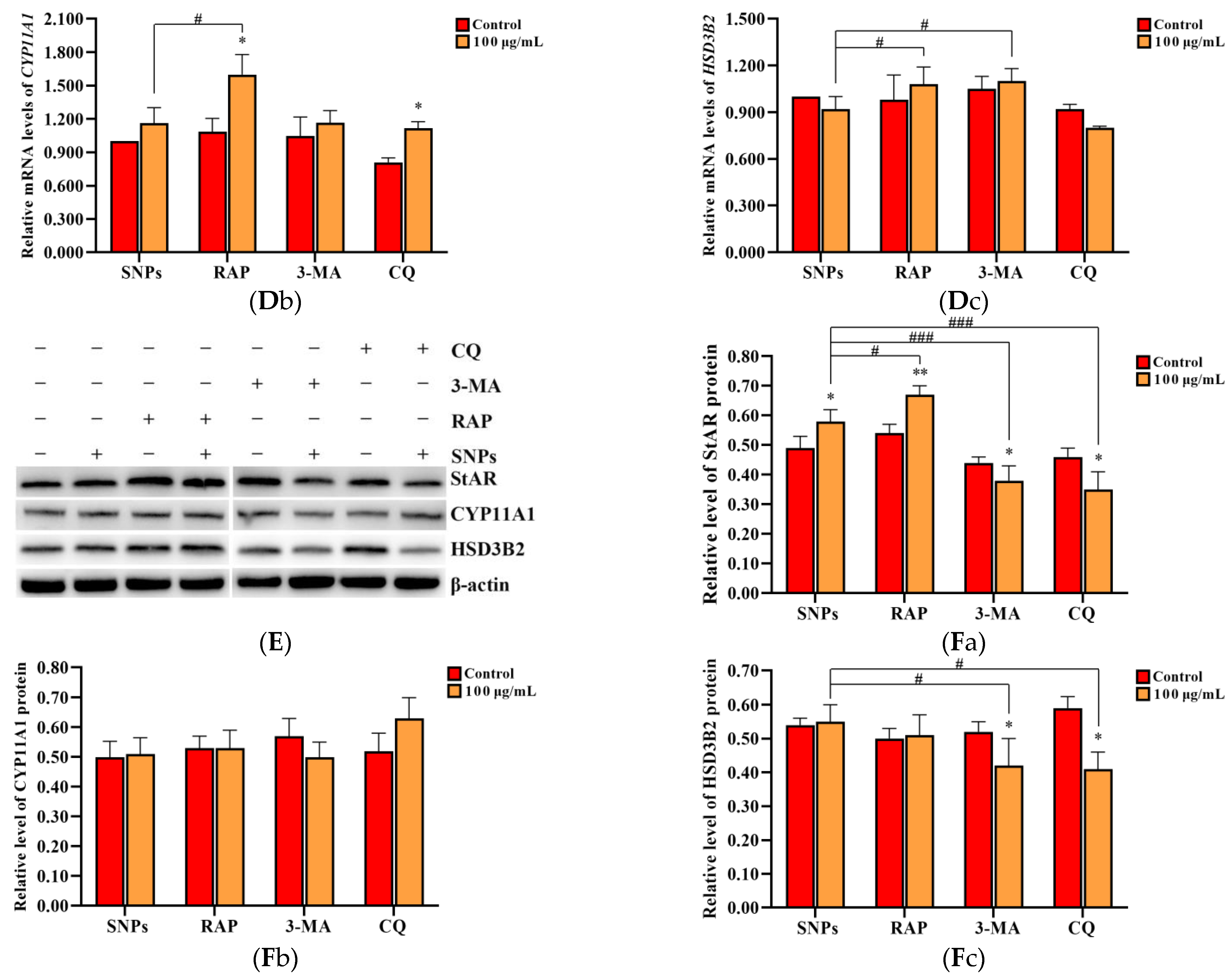 Ijms 23 03104 g006b Ijms 23 03104 g006b