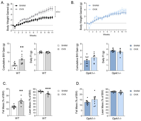 IJMS | Free Full-Text | Kappa-Opioid Receptor Blockade Ameliorates Obesity  Caused by Estrogen Withdrawal via Promotion of Energy Expenditure through  mTOR Pathway