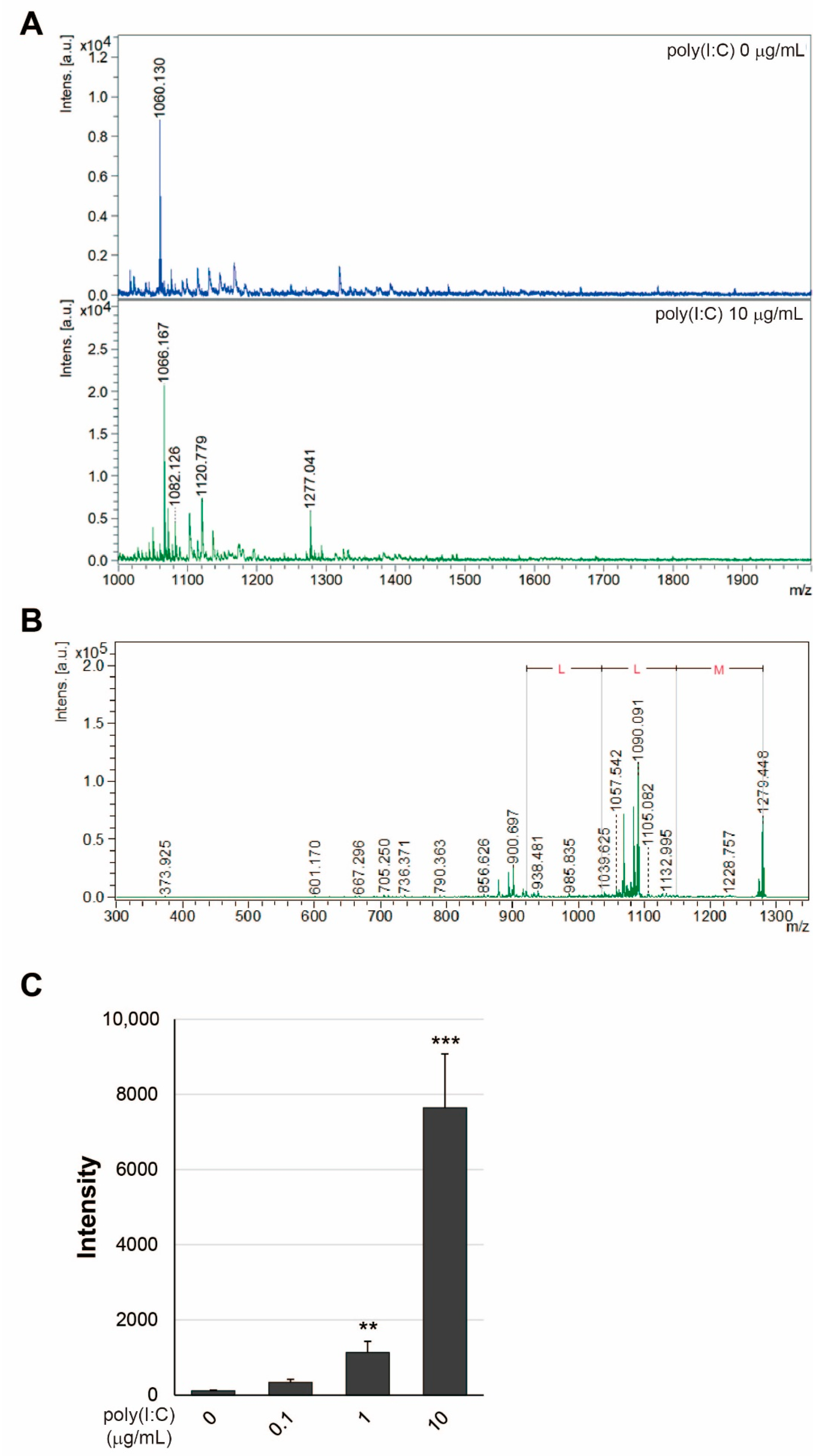 Ijms 23 03137 g002 Ijms 23 03137 g002