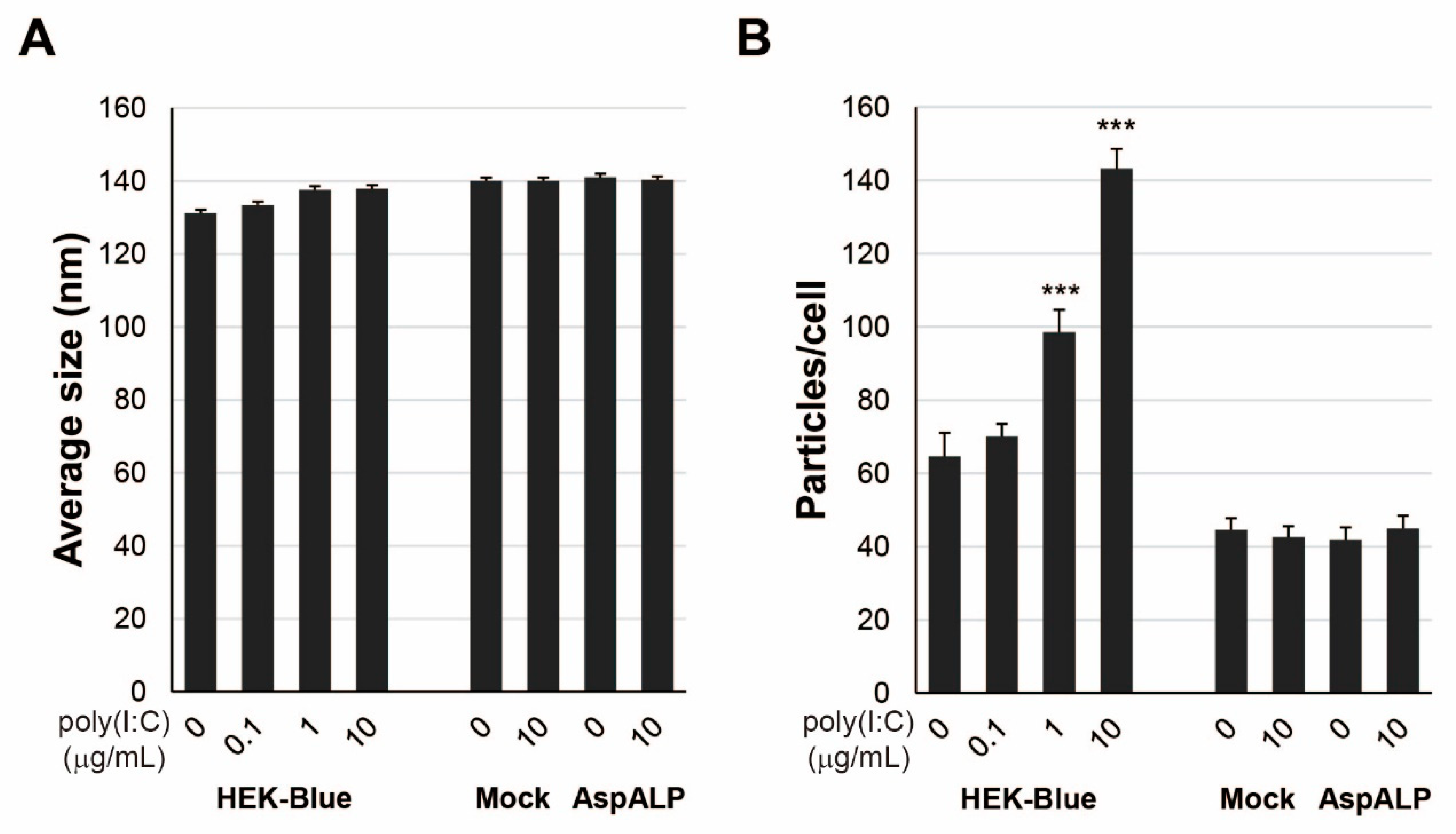 Ijms 23 03137 g004 Ijms 23 03137 g004