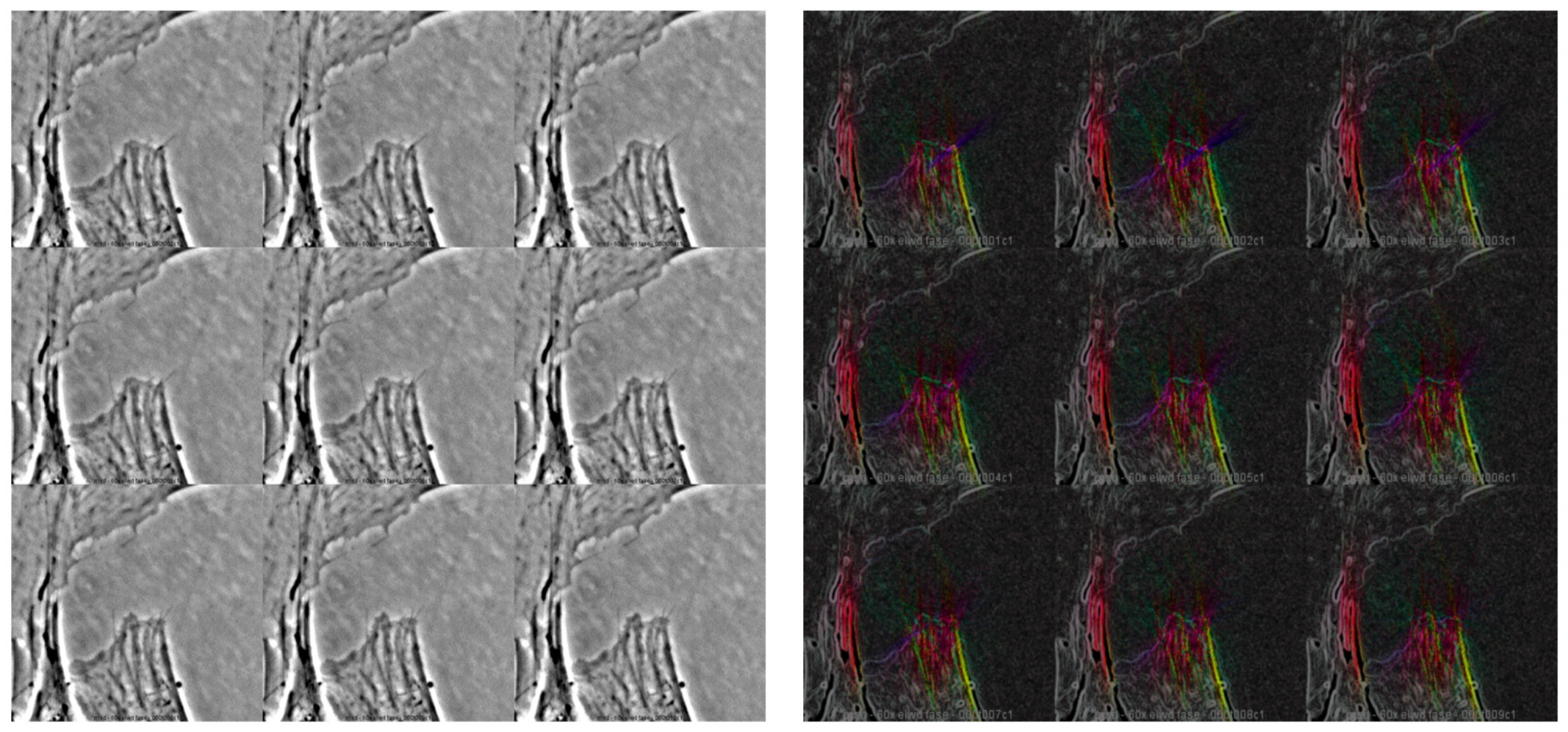 Ijms 23 03157 g001 Ijms 23 03157 g001