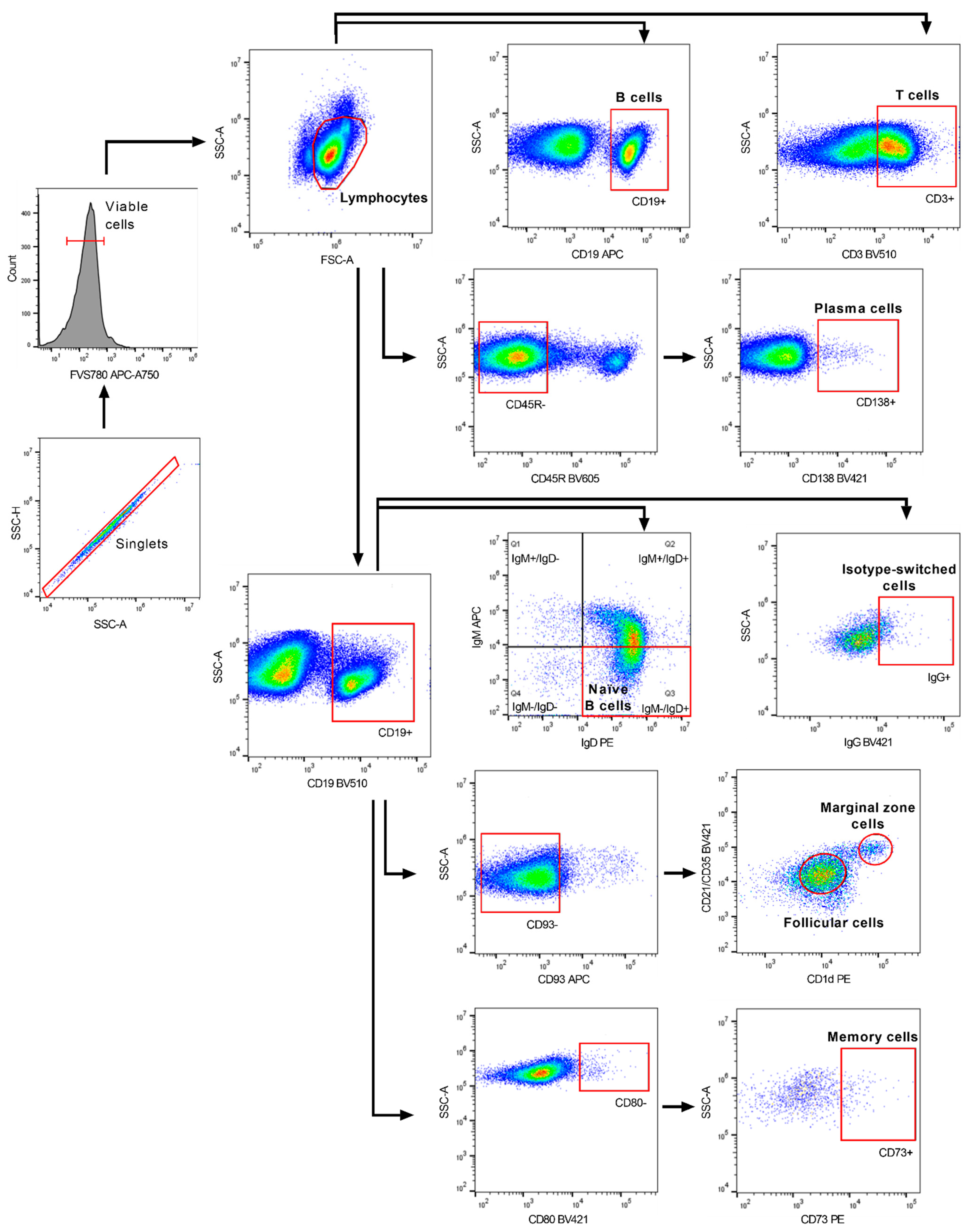 Ijms 23 03172 g008 Ijms 23 03172 g008