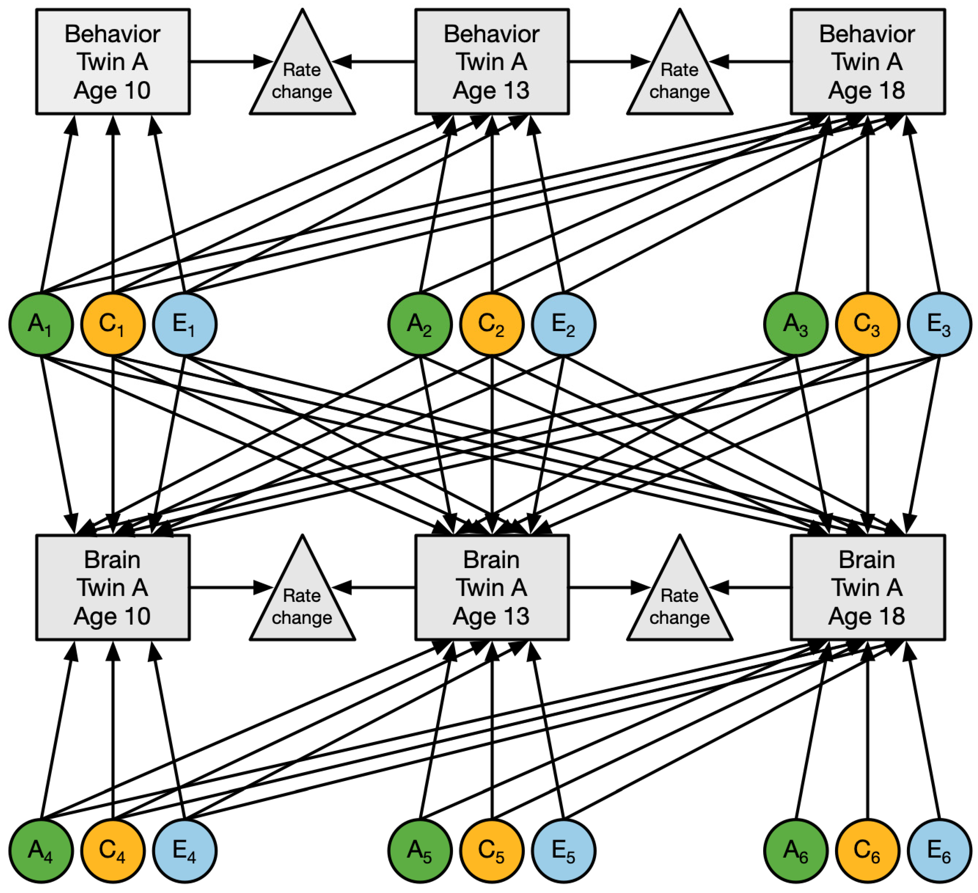 Ijms 23 03176 g004 Ijms 23 03176 g004