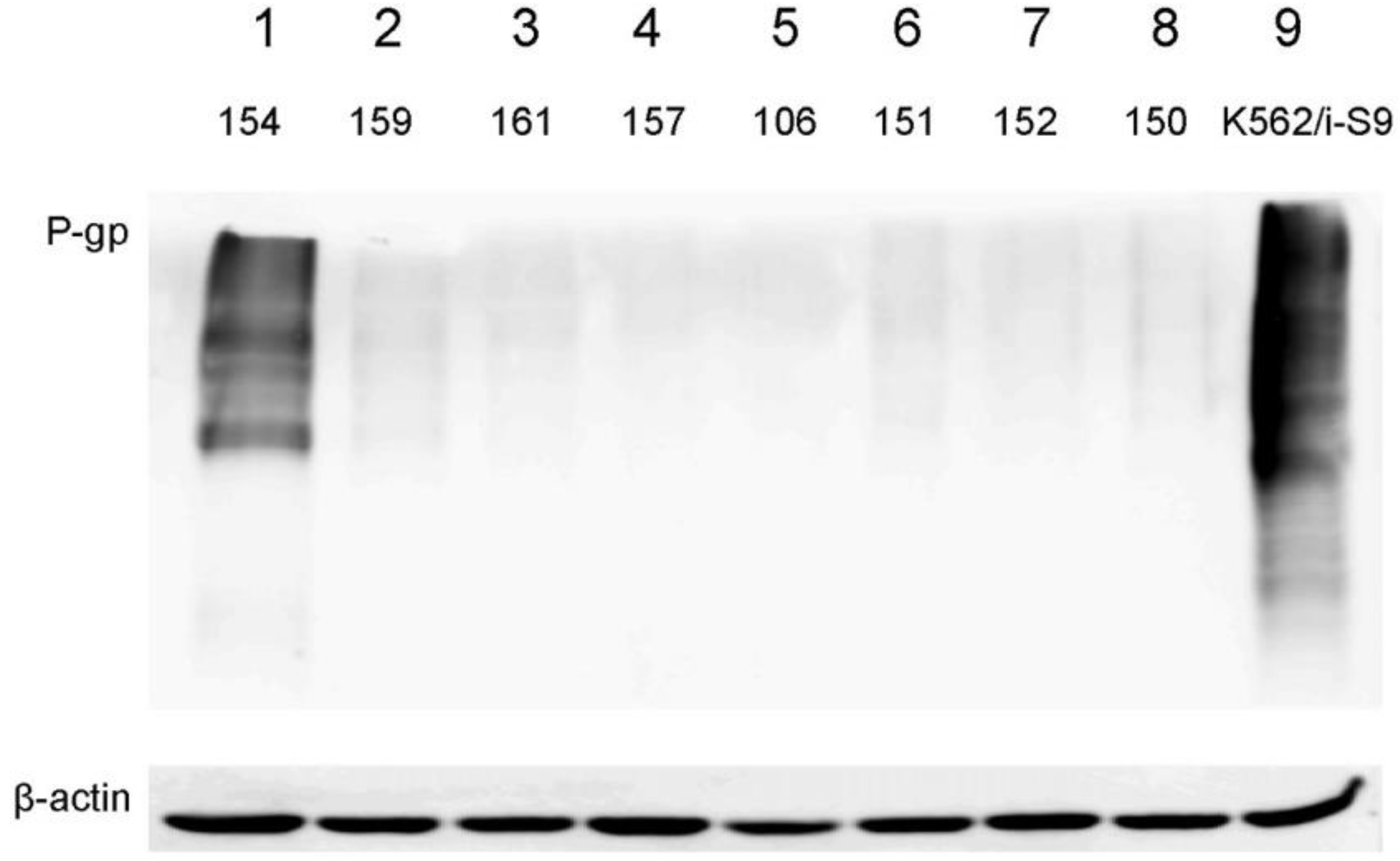 Ijms 23 03183 g004 Ijms 23 03183 g004