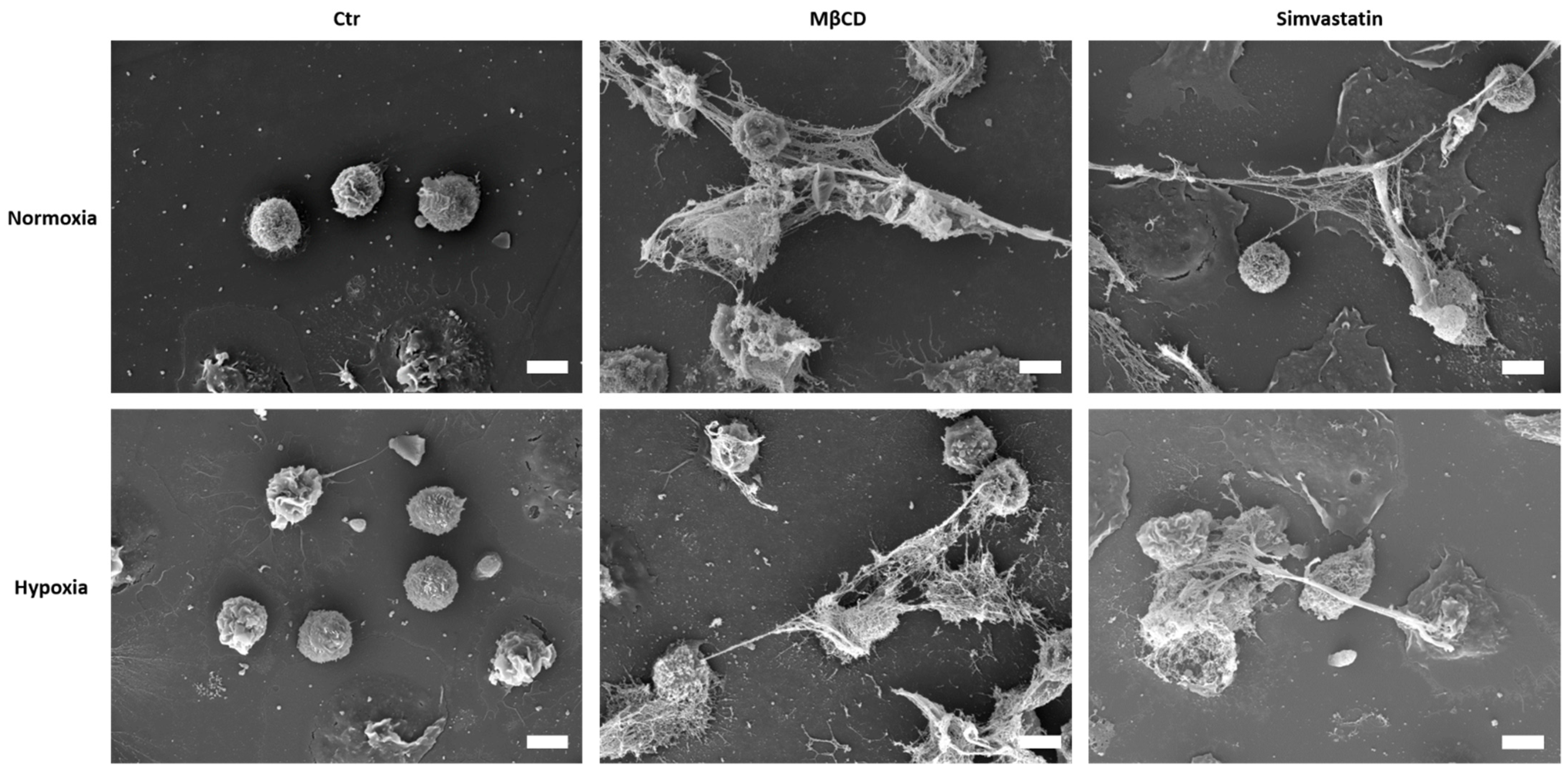 Ijms 23 03195 g005