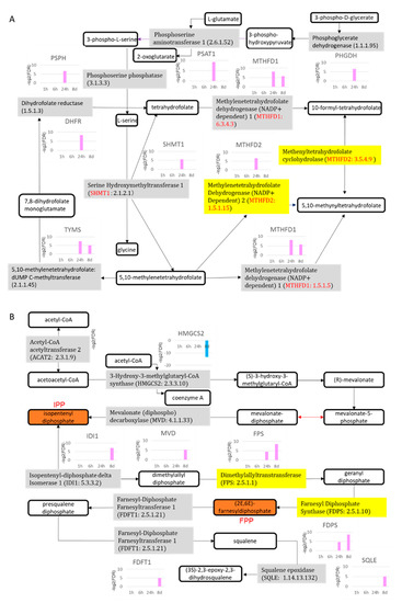 Ijms Free Full Text Gene Expression Over Time During Cell Transformation Due To Non Genotoxic Carcinogen Treatment Of Bhas 42 Cells Html