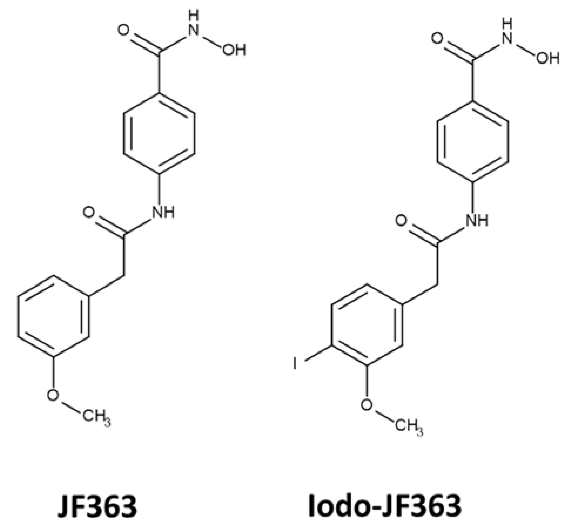 Ijms 23 03254 g008 Ijms 23 03254 g008