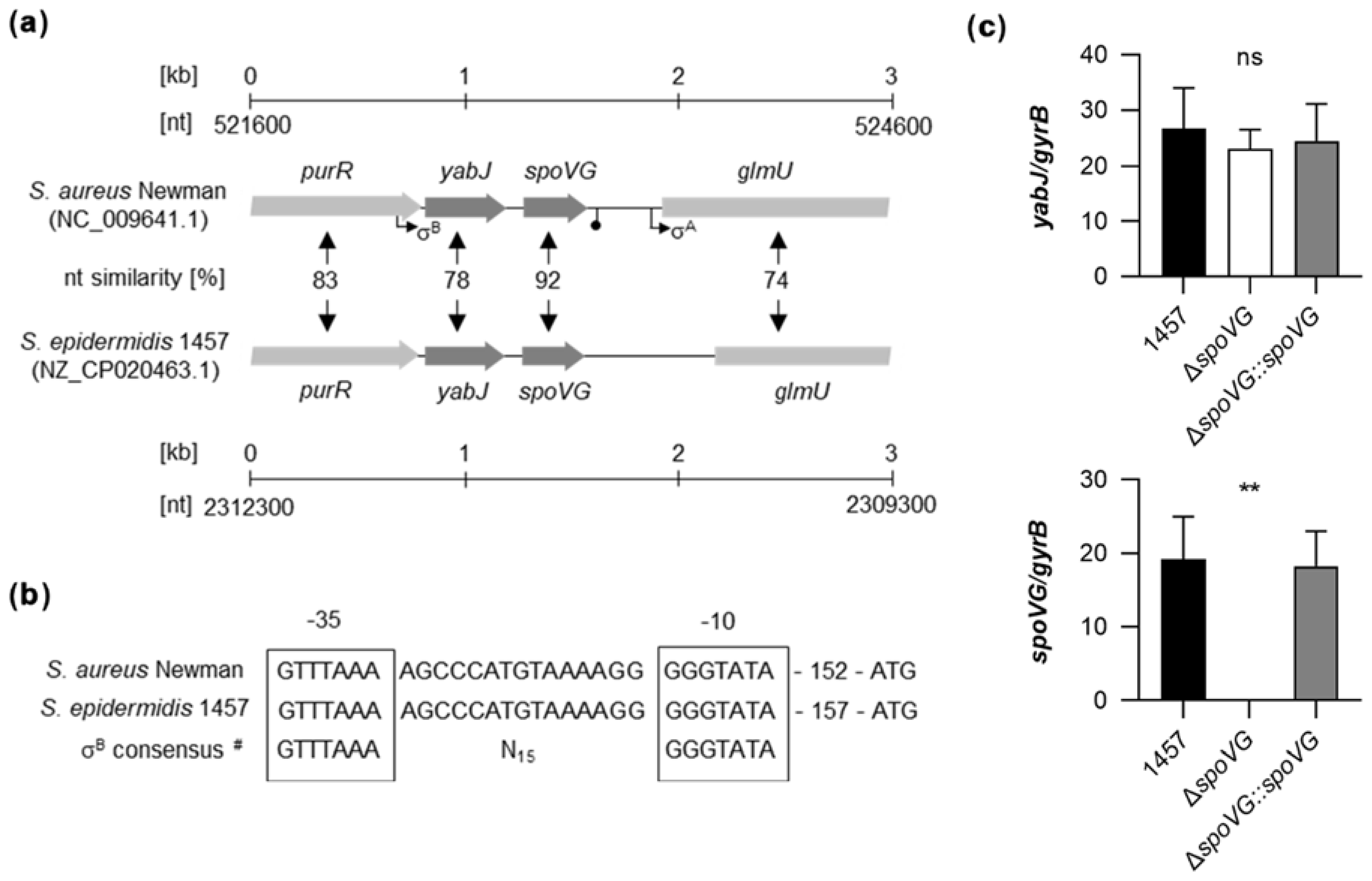 Ijms 23 03255 g001 Ijms 23 03255 g001
