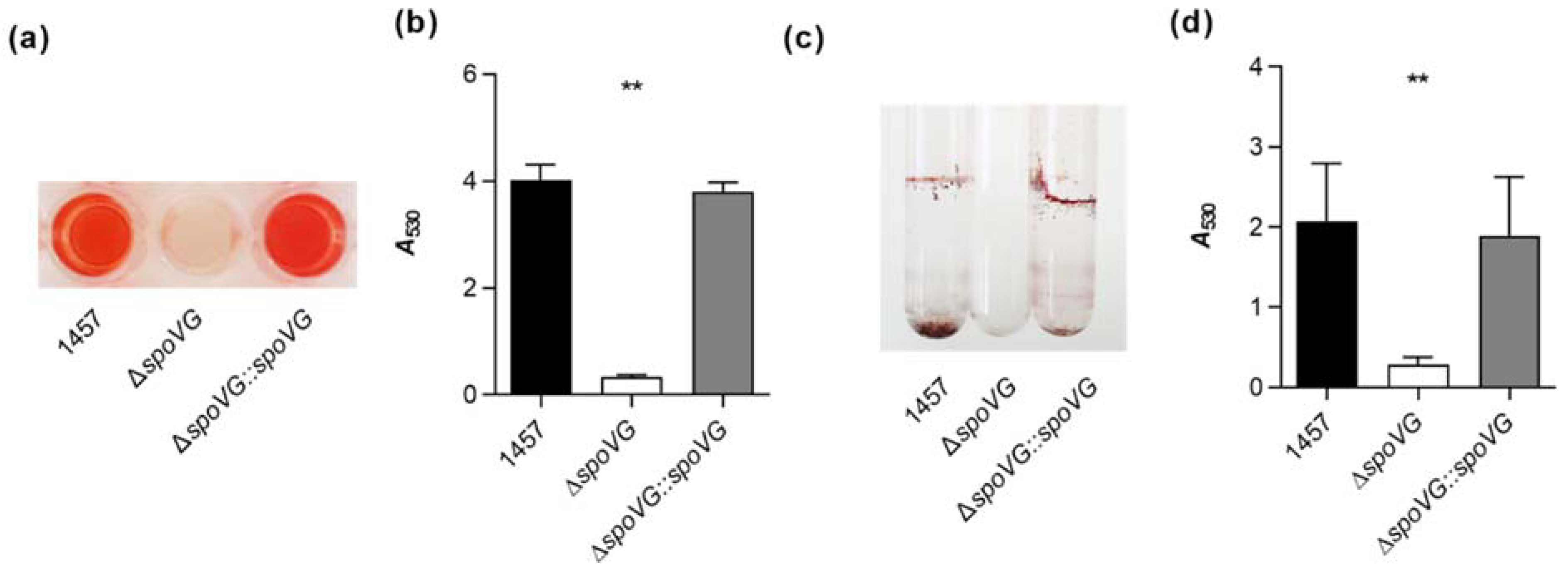 Ijms 23 03255 g004 Ijms 23 03255 g004