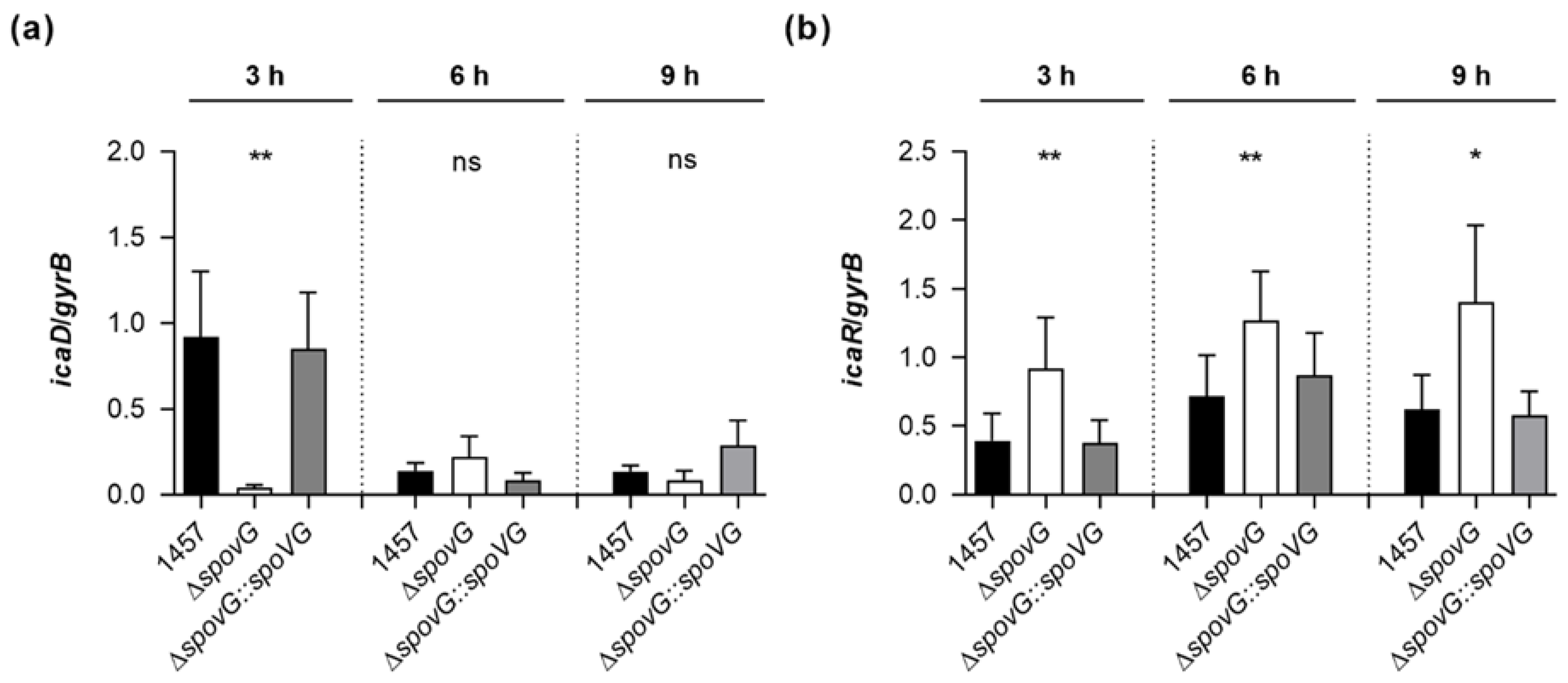 Ijms 23 03255 g006 Ijms 23 03255 g006