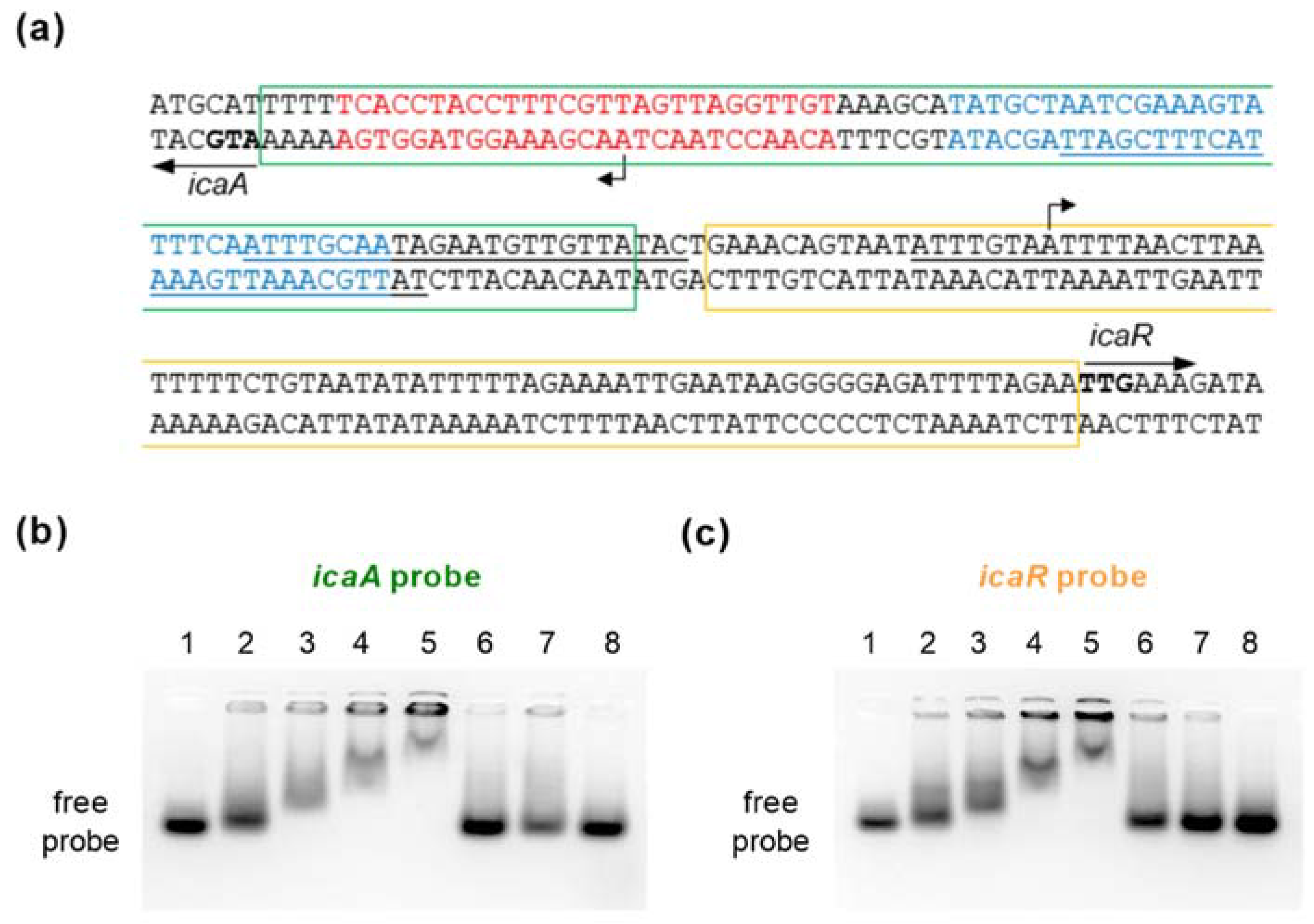 Ijms 23 03255 g007 Ijms 23 03255 g007