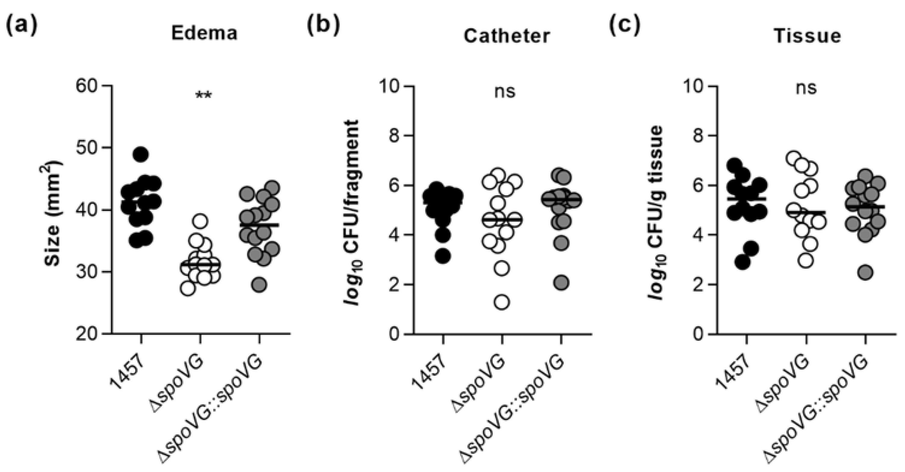 Ijms 23 03255 g008 Ijms 23 03255 g008