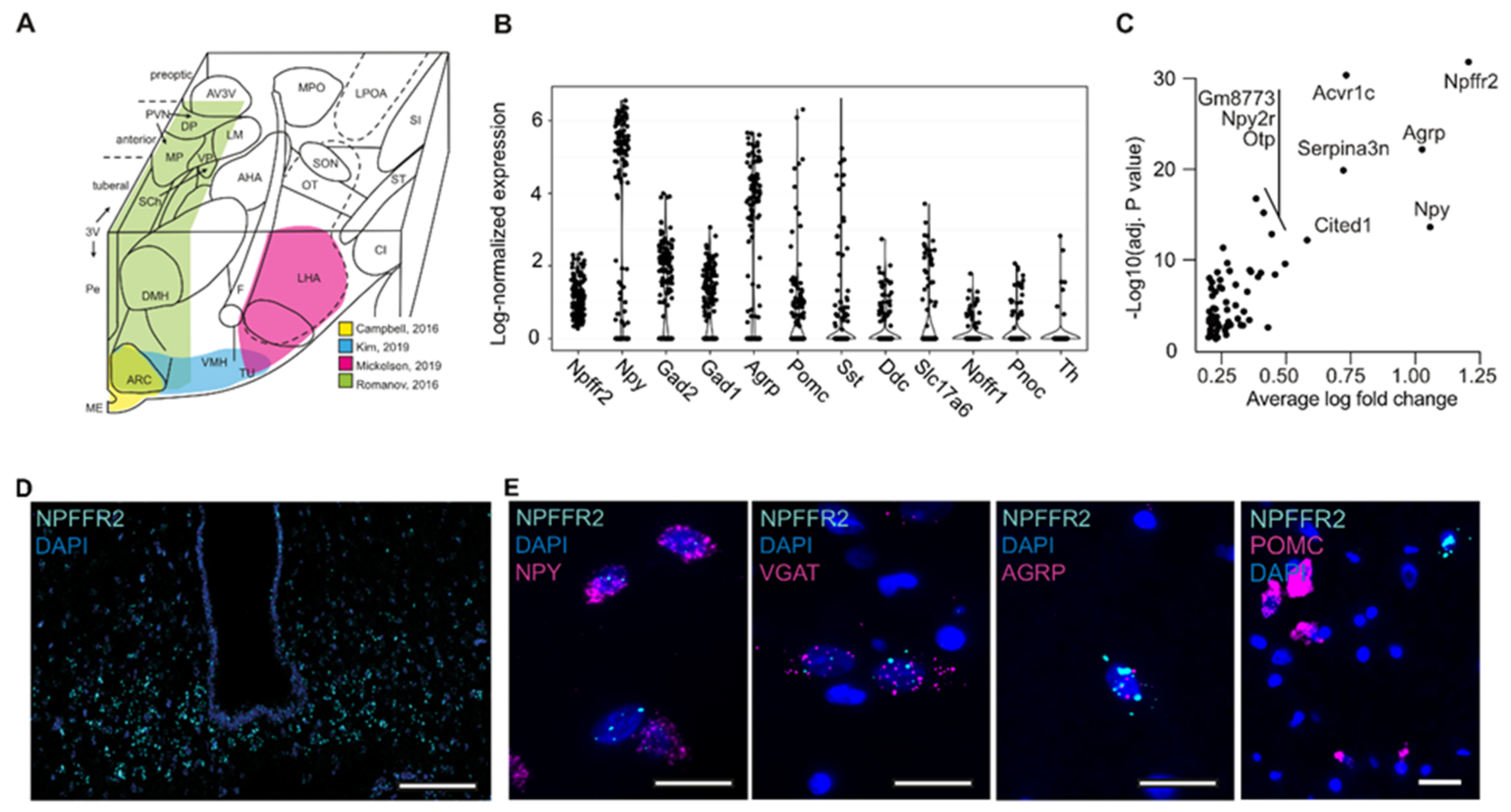 Ijms 23 03260 g001 Ijms 23 03260 g001
