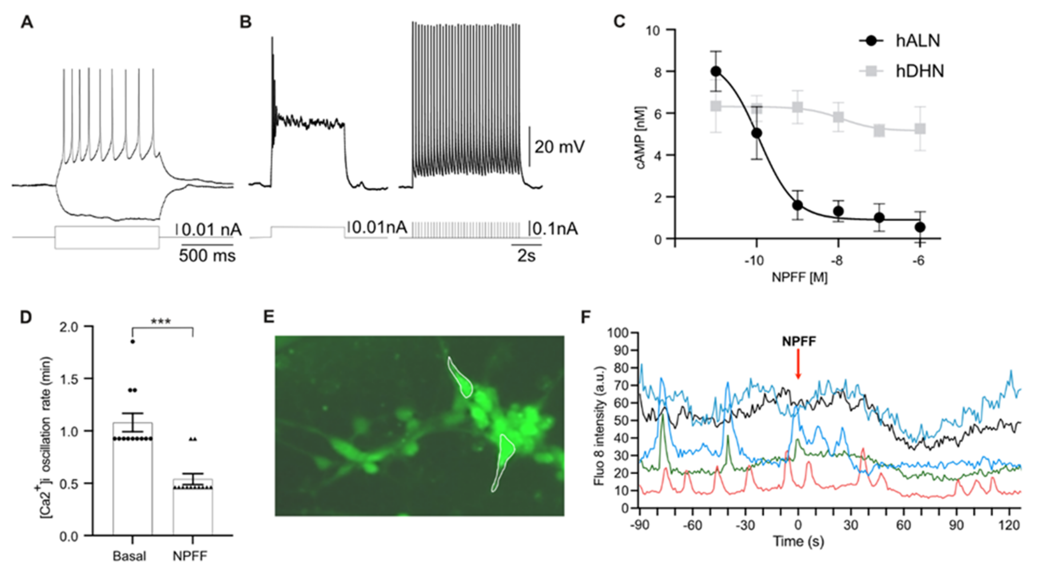Ijms 23 03260 g003 Ijms 23 03260 g003