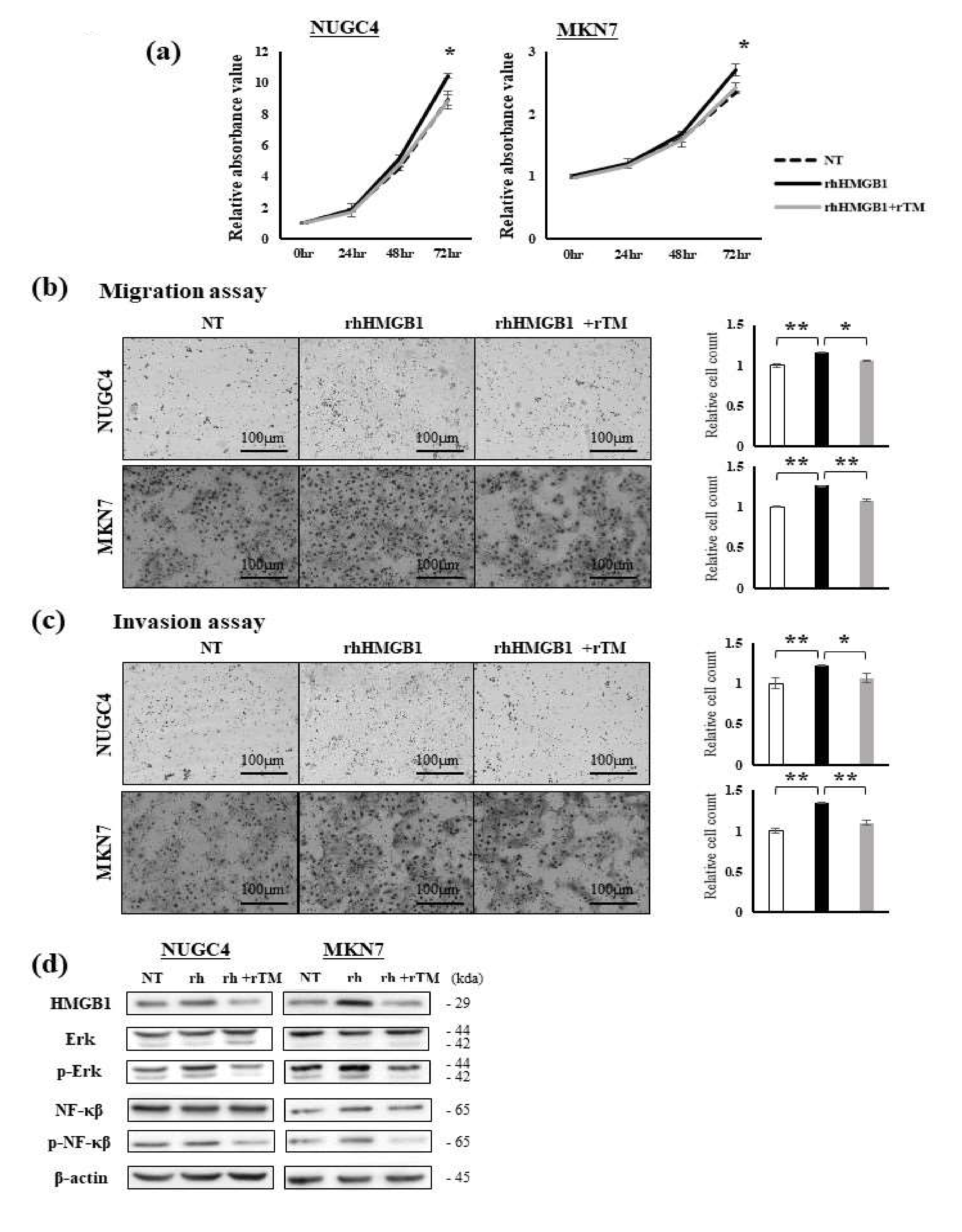 Ijms 23 03264 g001 Ijms 23 03264 g001