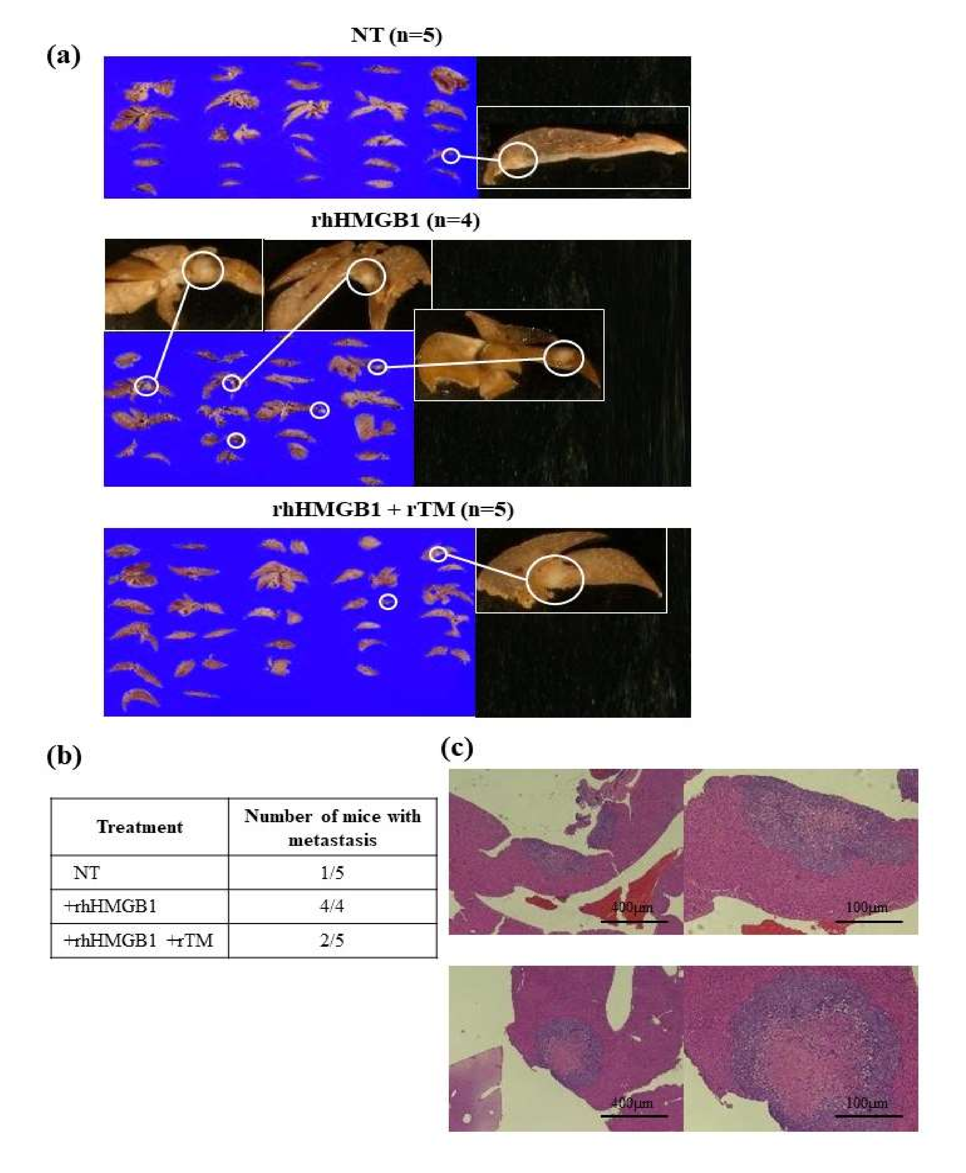 Ijms 23 03264 g003 Ijms 23 03264 g003