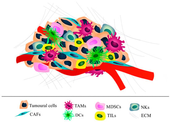 D-CSF-SC-23 Latest Braindumps Ppt