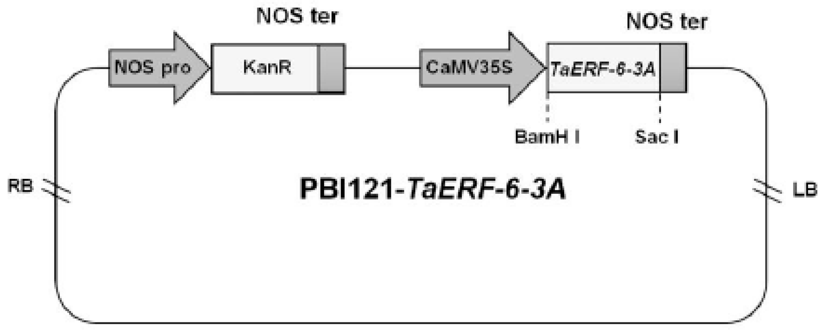 Ijms 23 03272 g009