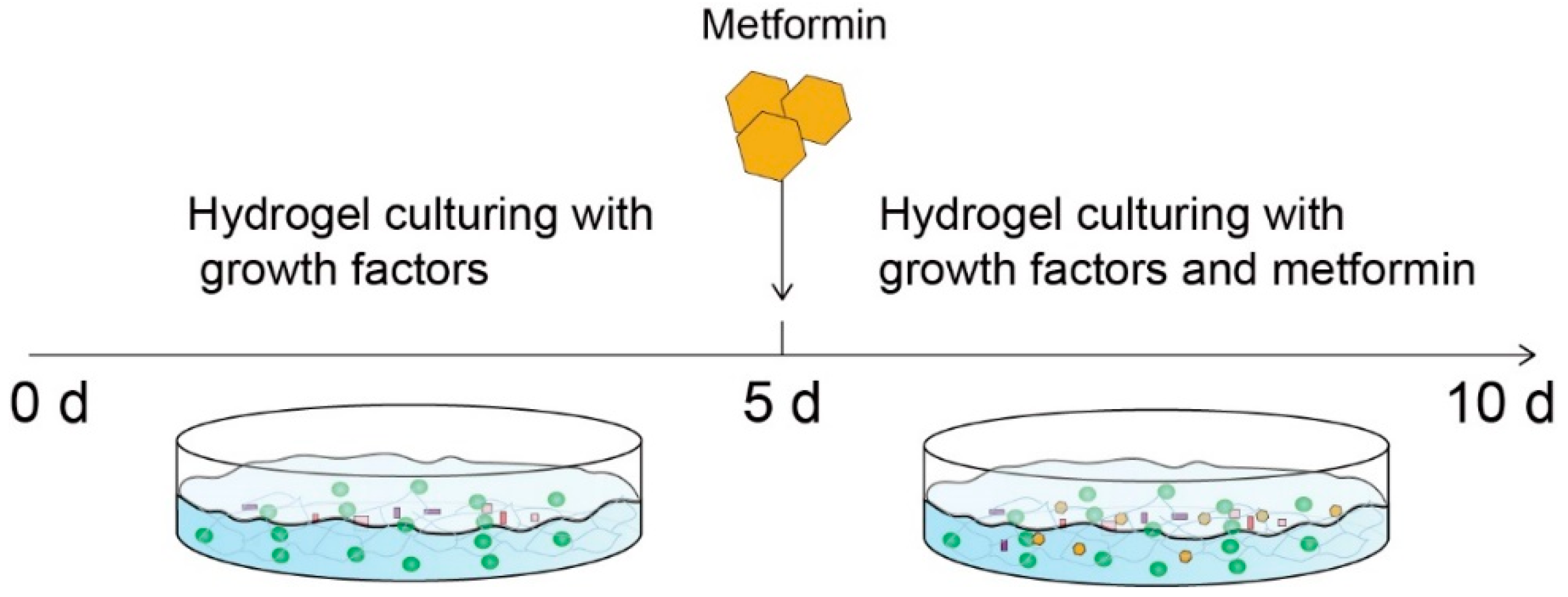 Ijms 23 03276 sch002