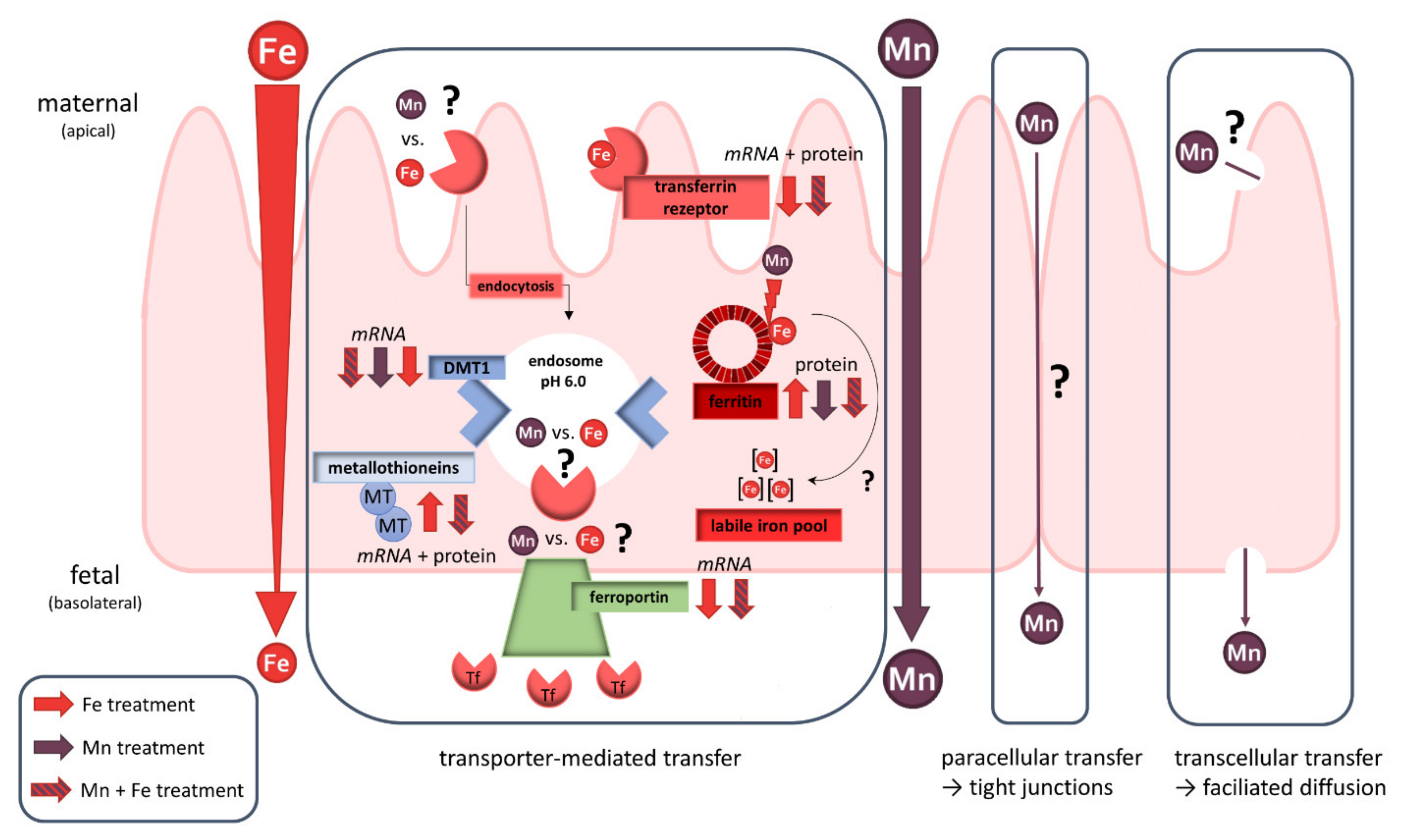 Ijms 23 03296 g006 Ijms 23 03296 g006