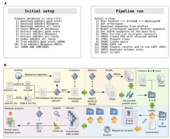 Ijms Free Full Text Autocoev Mdash A High Throughput In Silico Pipeline For Predicting Inter Protein Coevolution Html