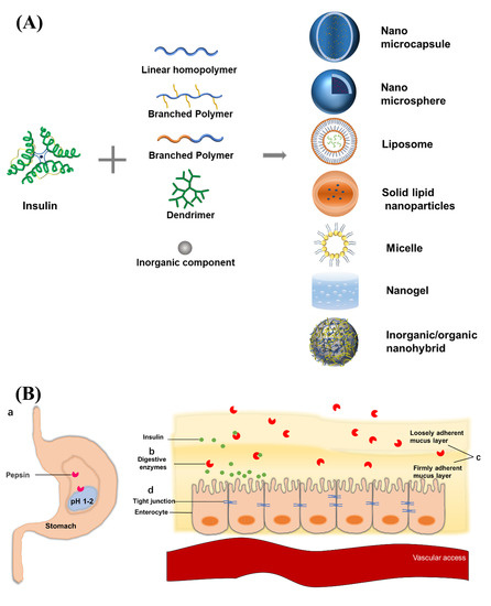 How Digestive Processes Can Affect the Bioavailability of PCBs