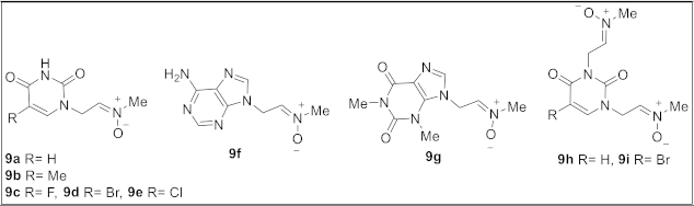 Ijms 23 03411 i001 Ijms 23 03411 i001