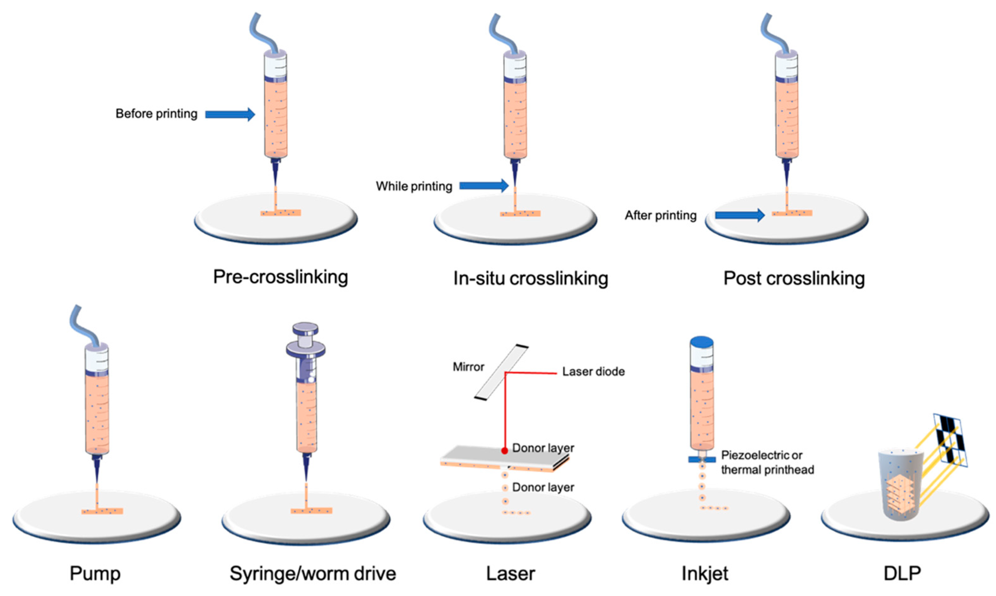IJMS | Free Full-Text | Current Advances in 3D Bioprinting for Cancer  Modeling and Personalized Medicine