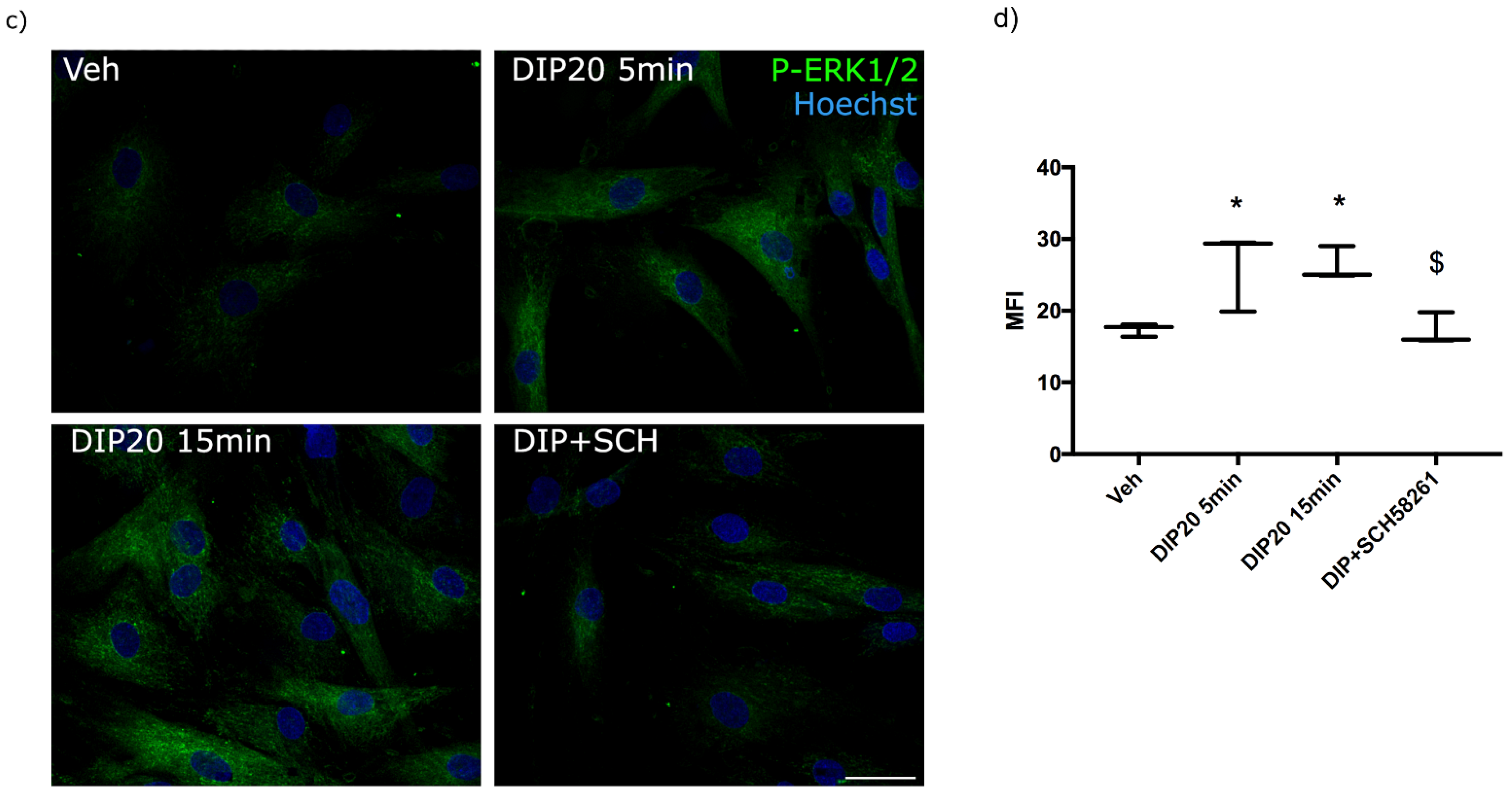 Fig 2.  Subcortical Volumetric Reductions in Adult Niemann-Pick