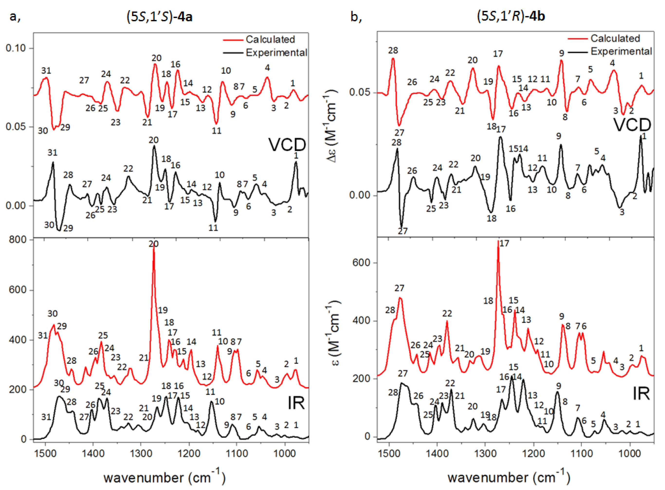 Ijms 23 03471 g005 Ijms 23 03471 g005