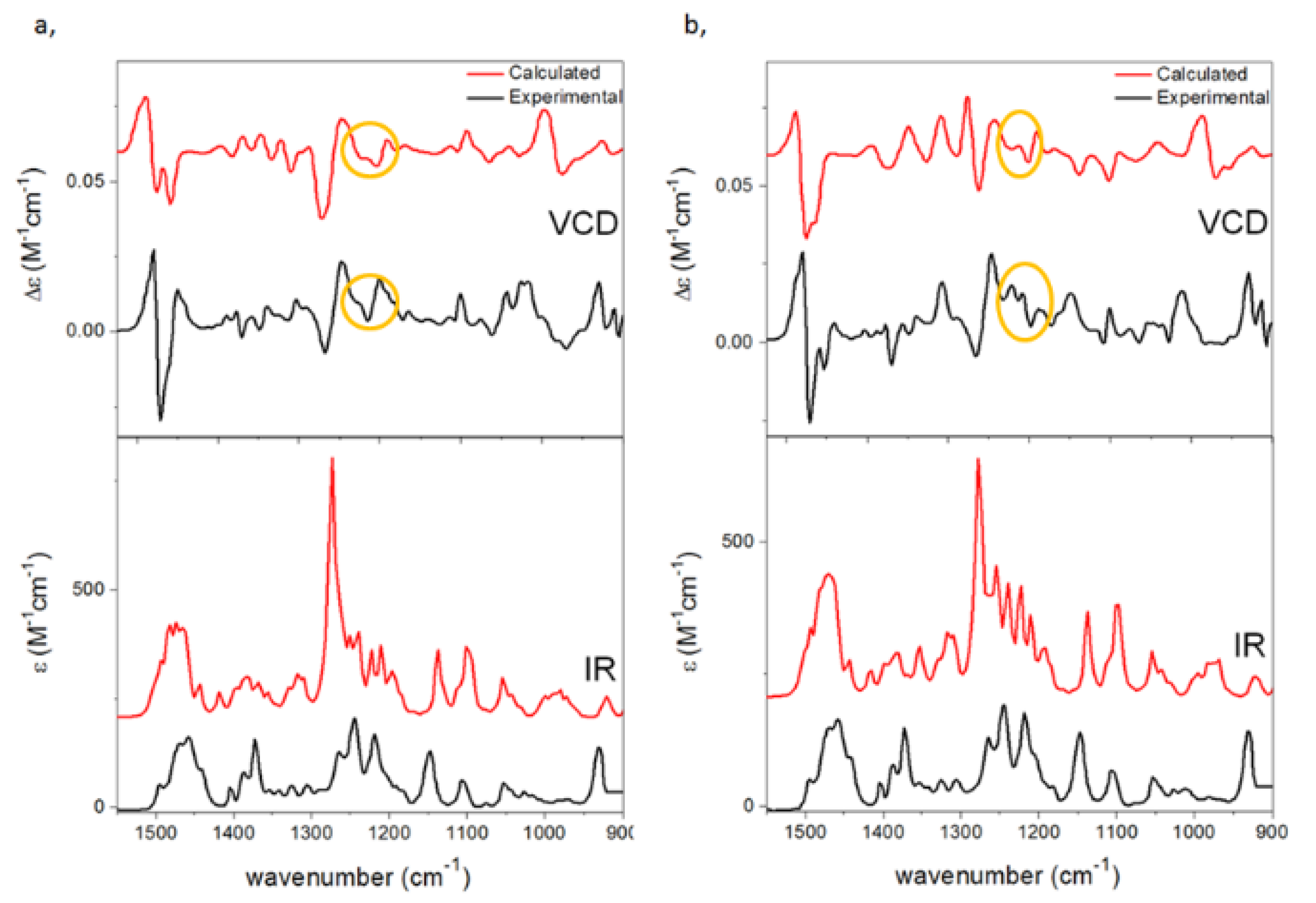 Ijms 23 03471 g006 Ijms 23 03471 g006