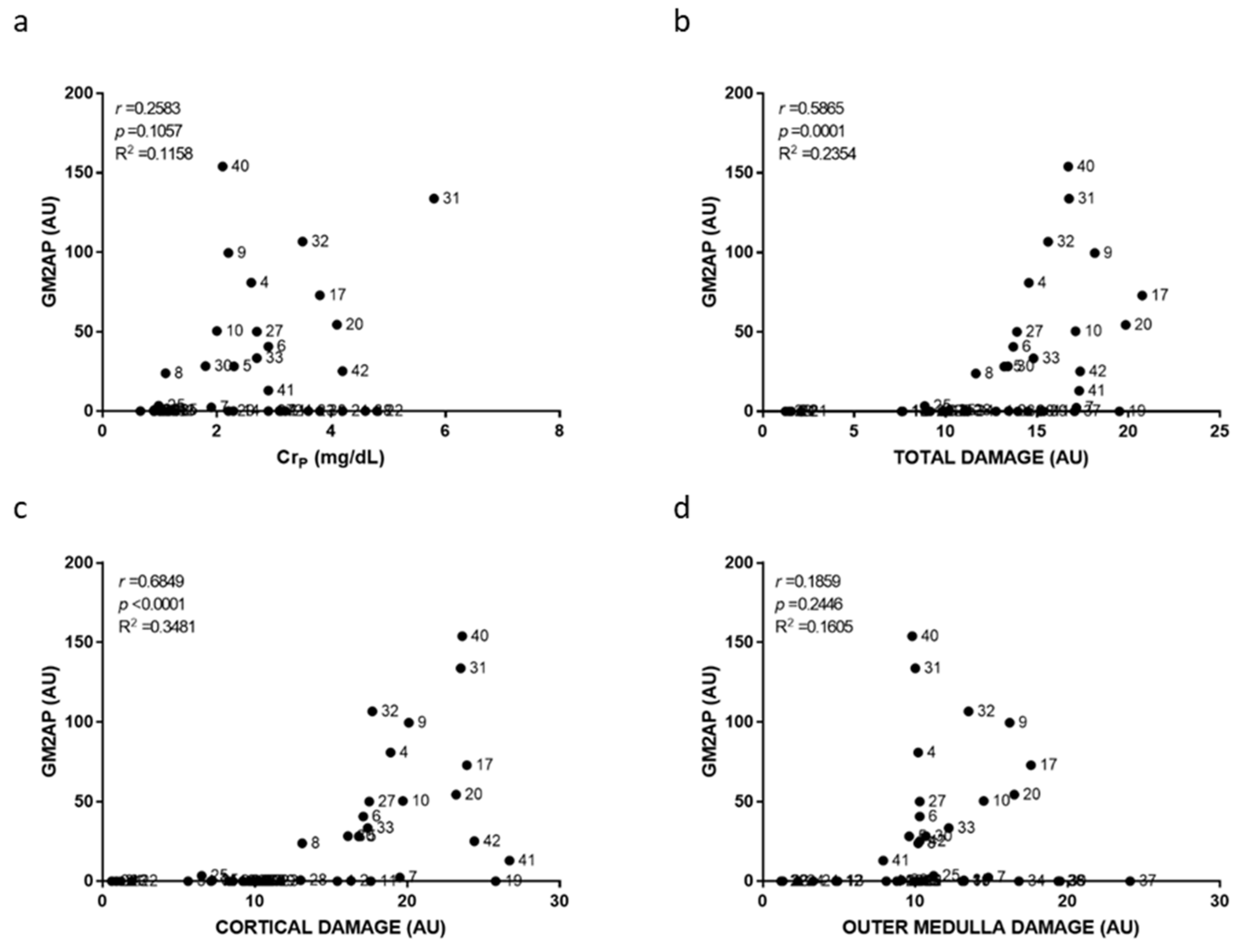 Ijms 23 03494 g006 Ijms 23 03494 g006