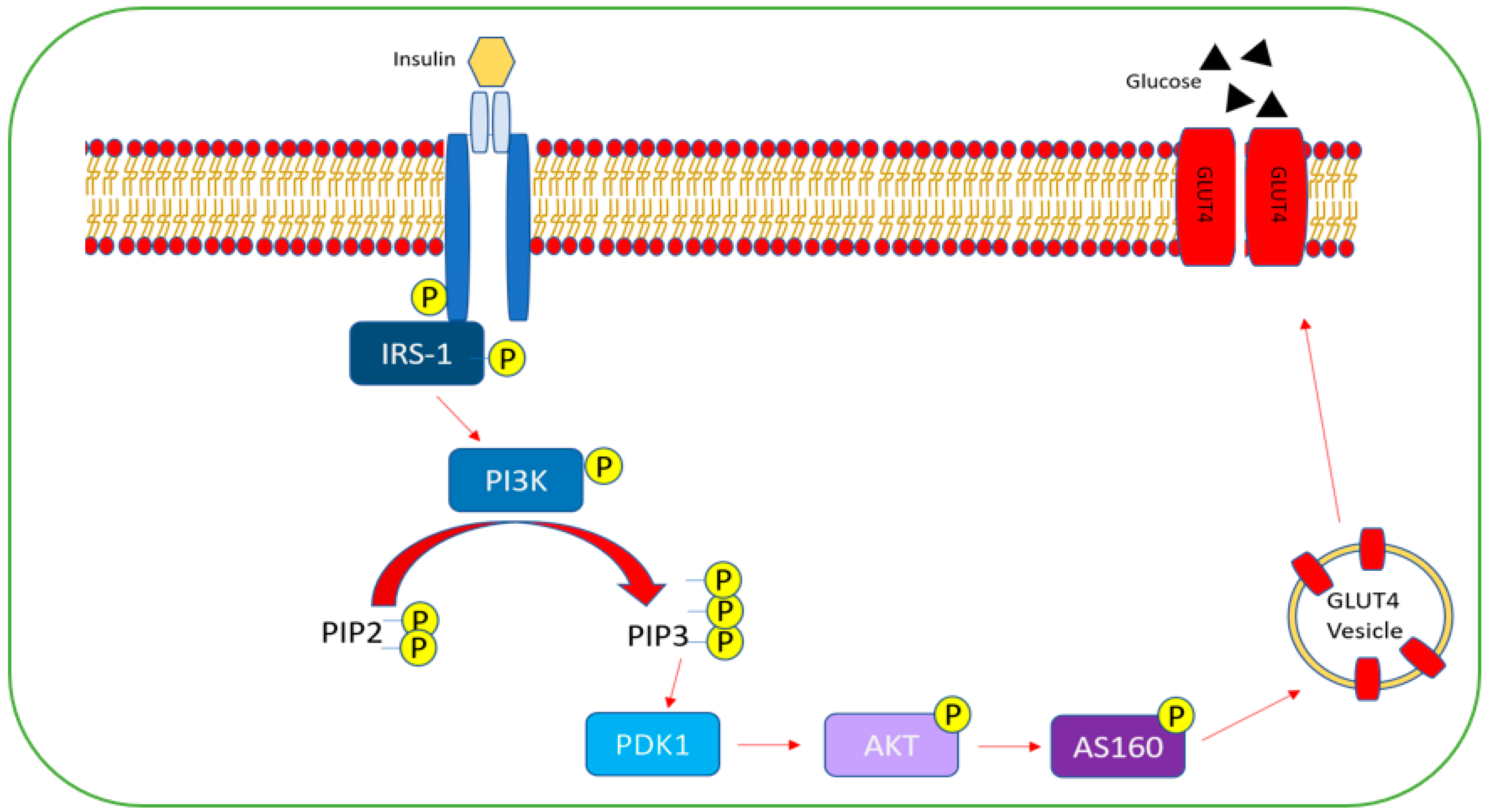 Ijms 23 03514 g004 Ijms 23 03514 g004