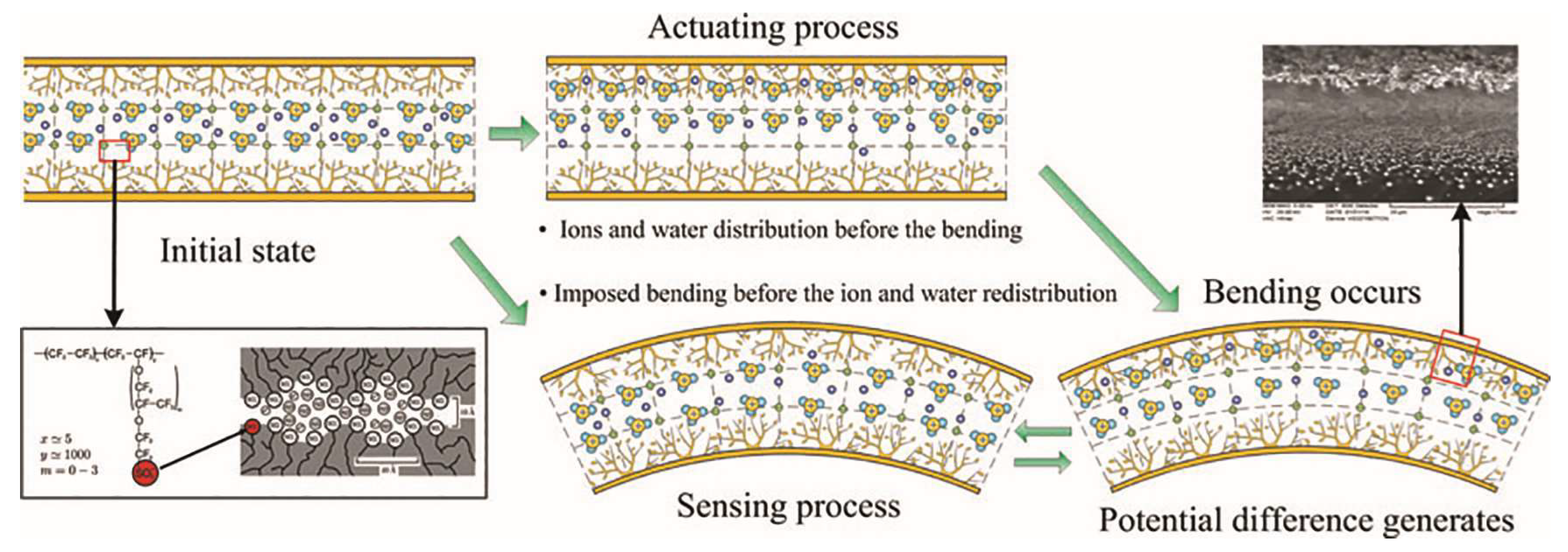 Ijms 23 03522 g002 Ijms 23 03522 g002