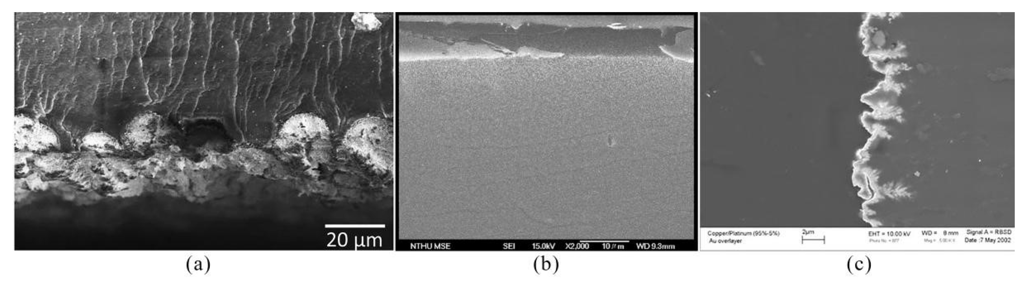 Photograph of the Fabricated IPMC.