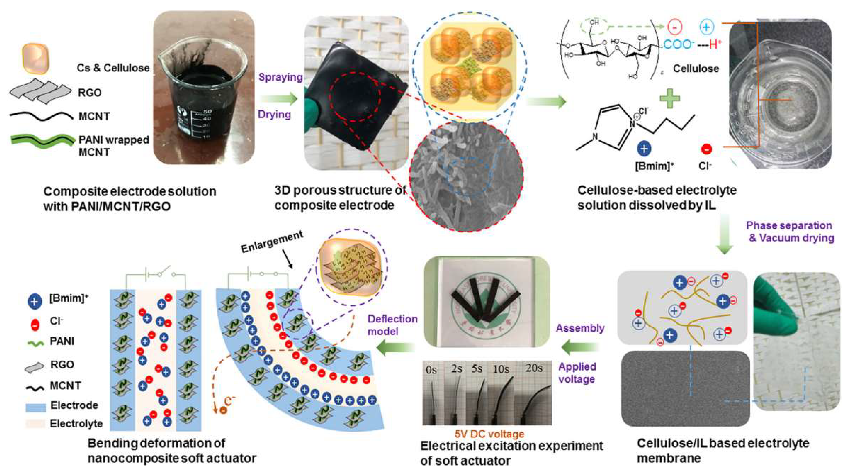 Ijms 23 03522 g012 Ijms 23 03522 g012