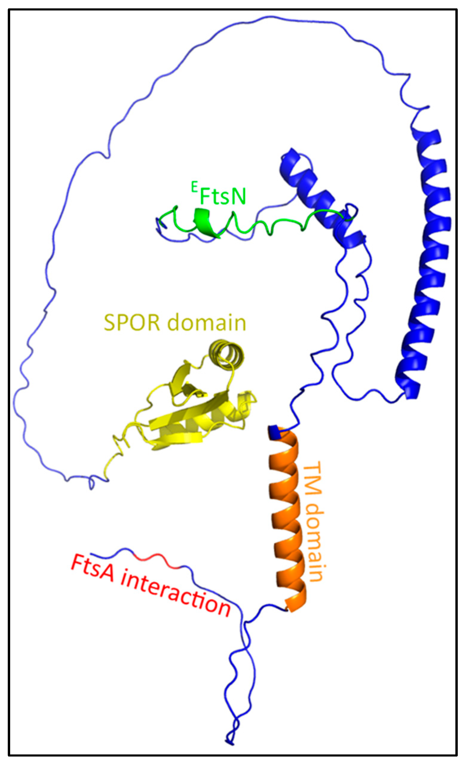 Ijms 23 03537 g008 Ijms 23 03537 g008