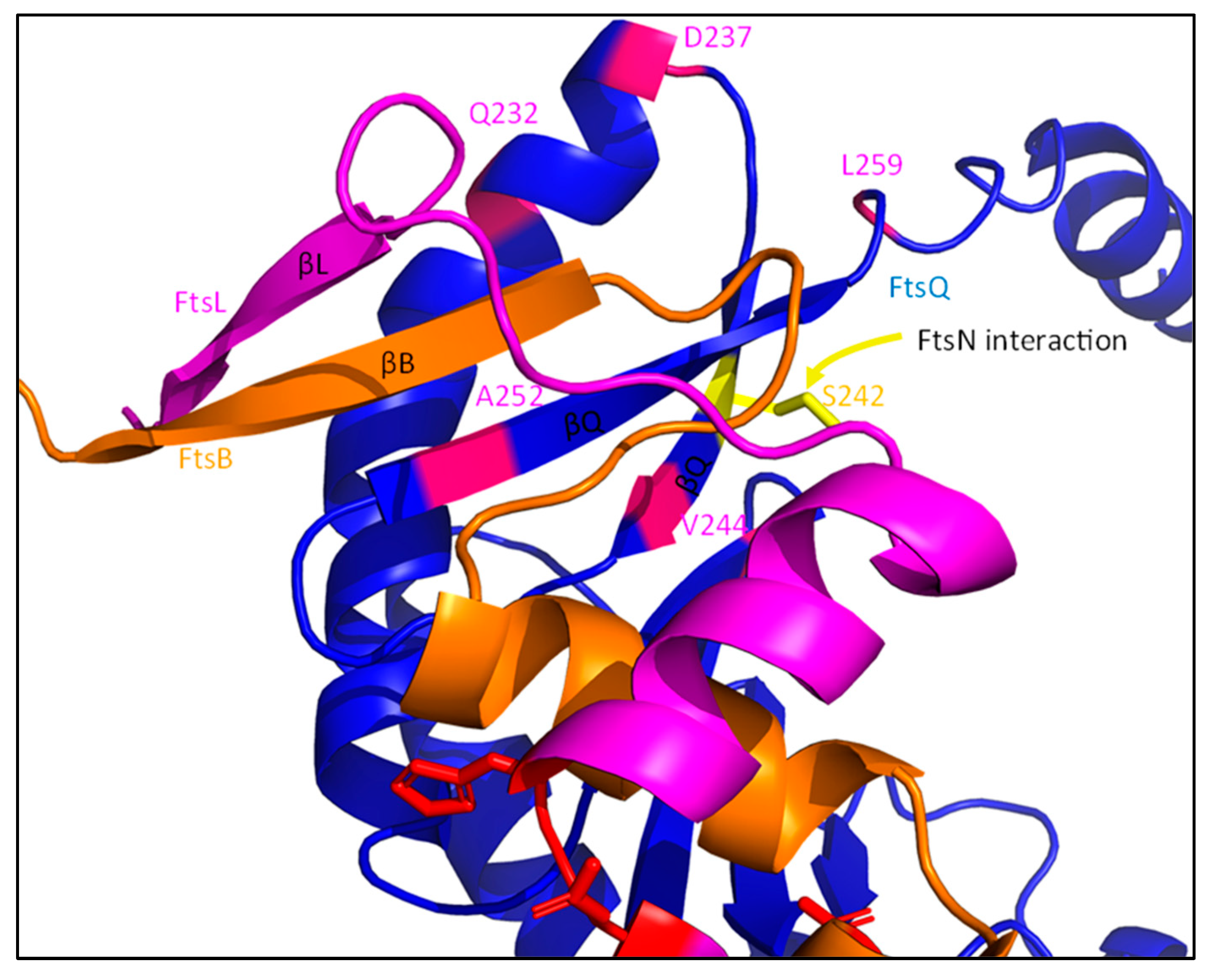 Ijms 23 03537 g015 Ijms 23 03537 g015