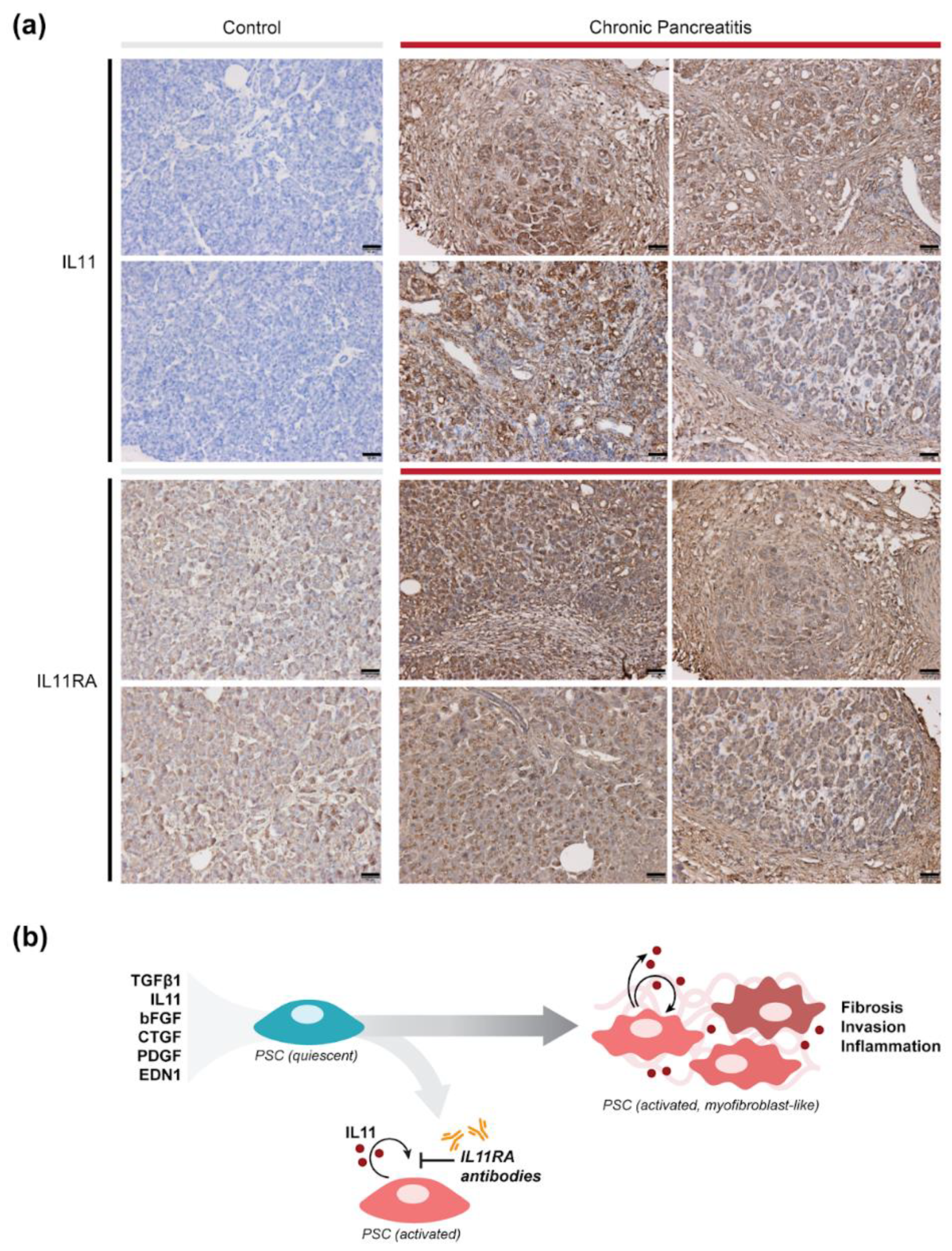 Ijms 23 03549 g006 Ijms 23 03549 g006