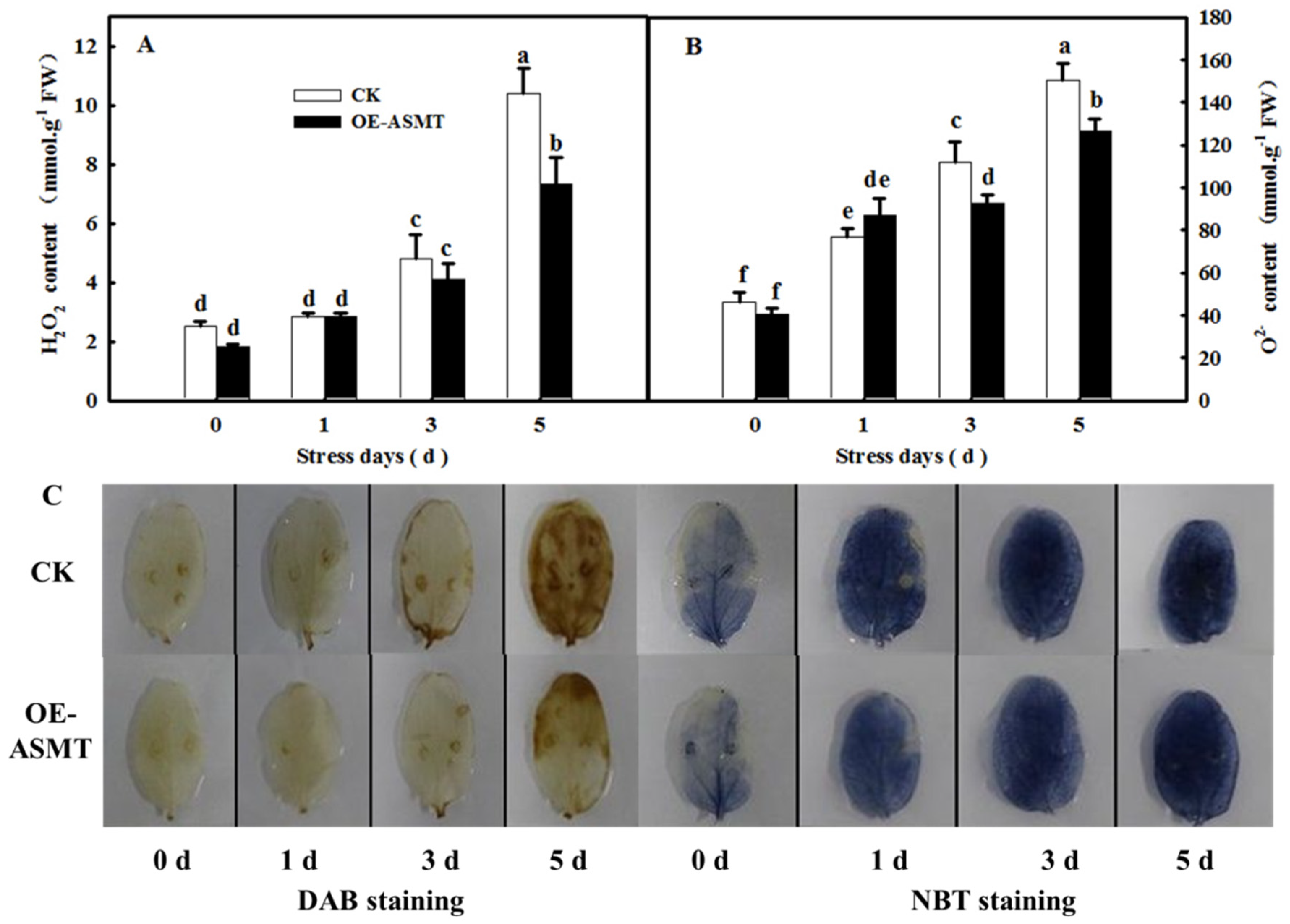 Ijms 23 03576 g003 Ijms 23 03576 g003