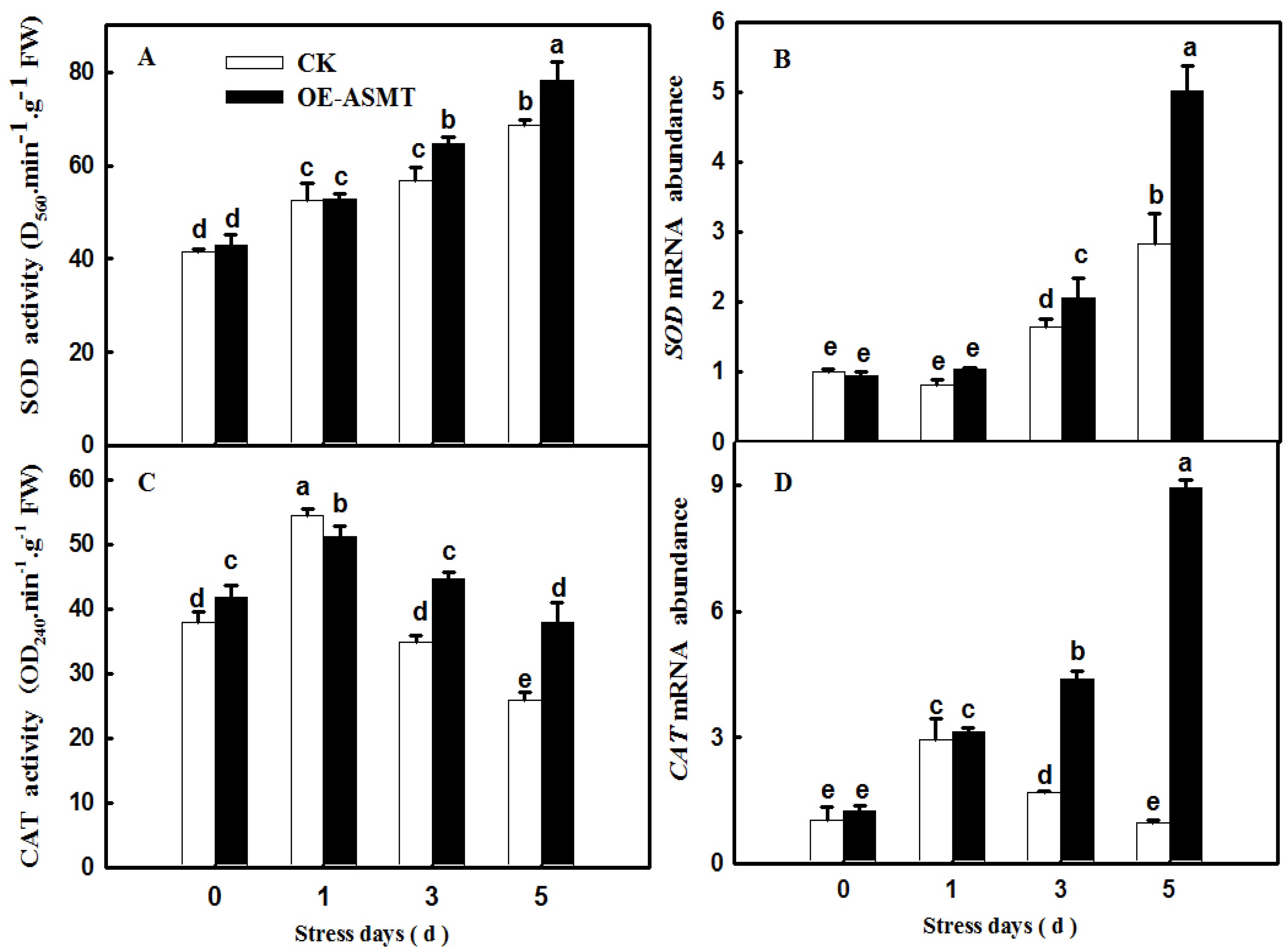 Ijms 23 03576 g004 Ijms 23 03576 g004