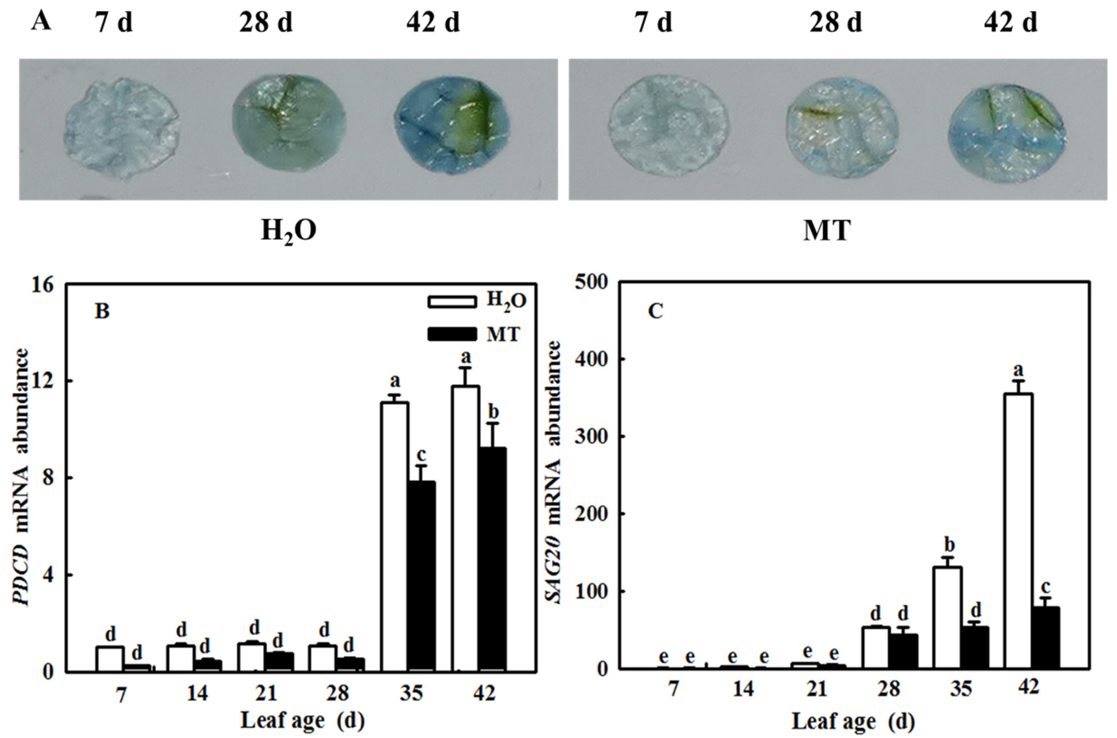 Ijms 23 03576 g007 Ijms 23 03576 g007