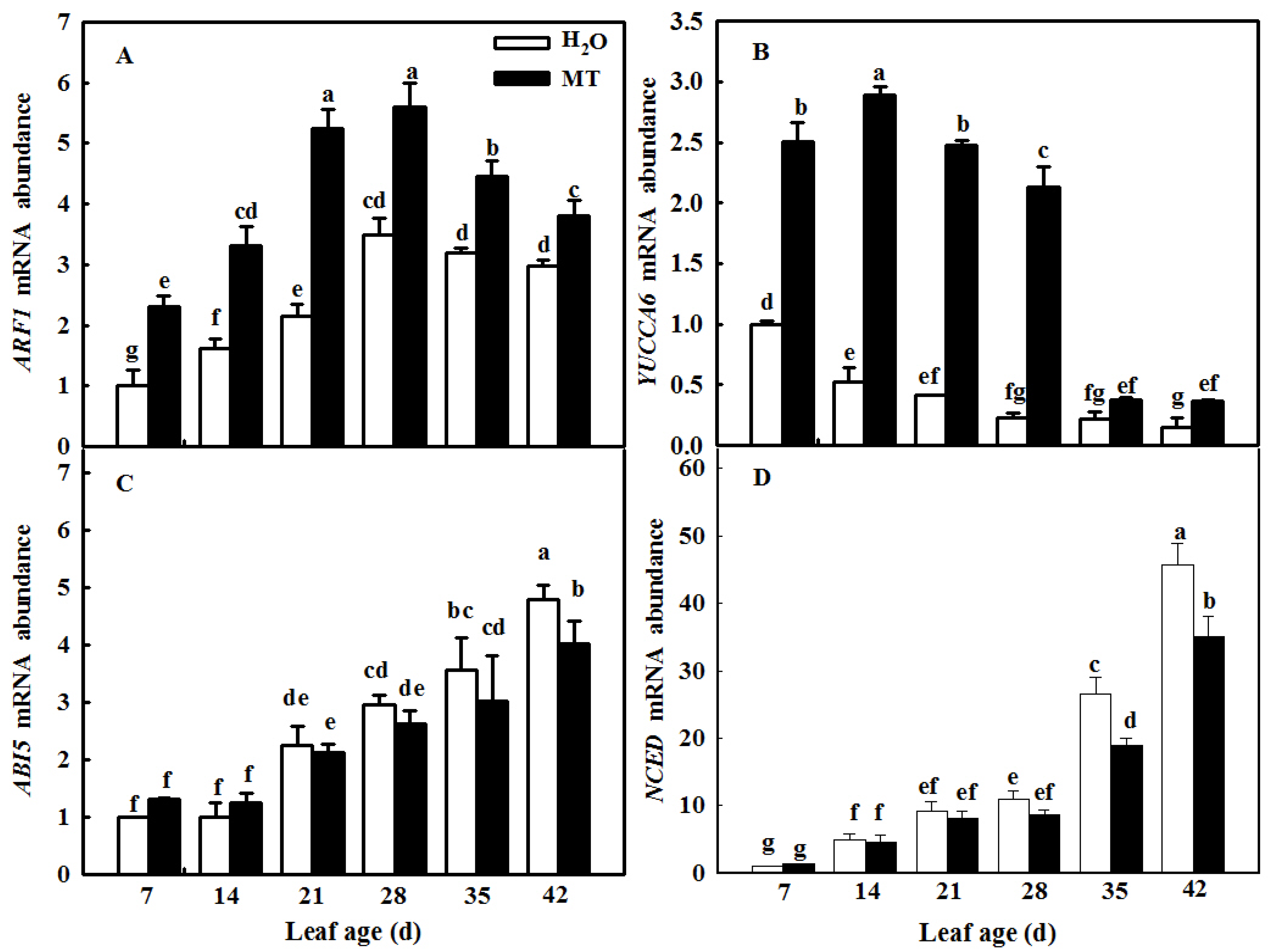 Ijms 23 03576 g008 Ijms 23 03576 g008
