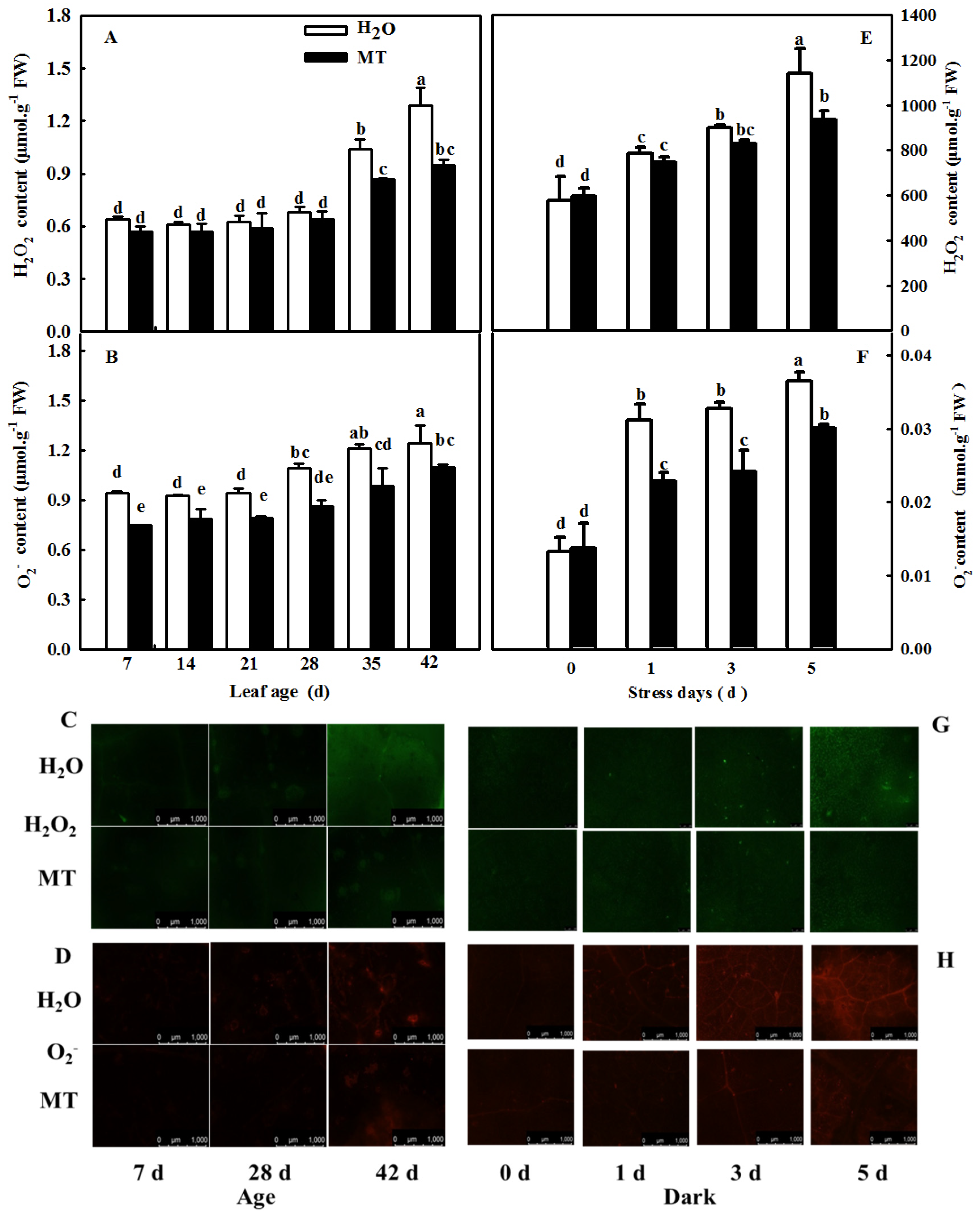 Ijms 23 03576 g009 Ijms 23 03576 g009