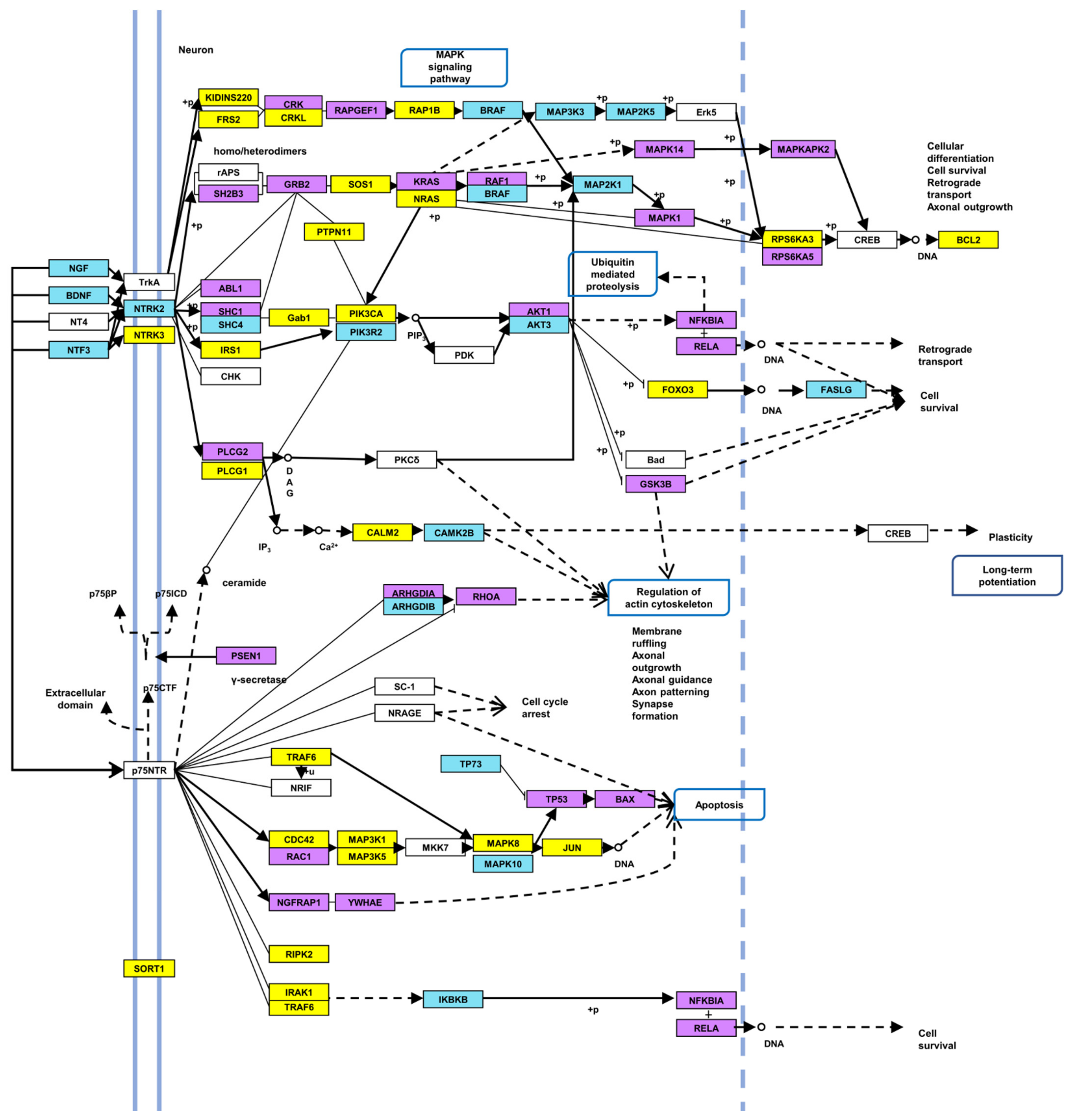 Ijms 23 03597 g003 Ijms 23 03597 g003