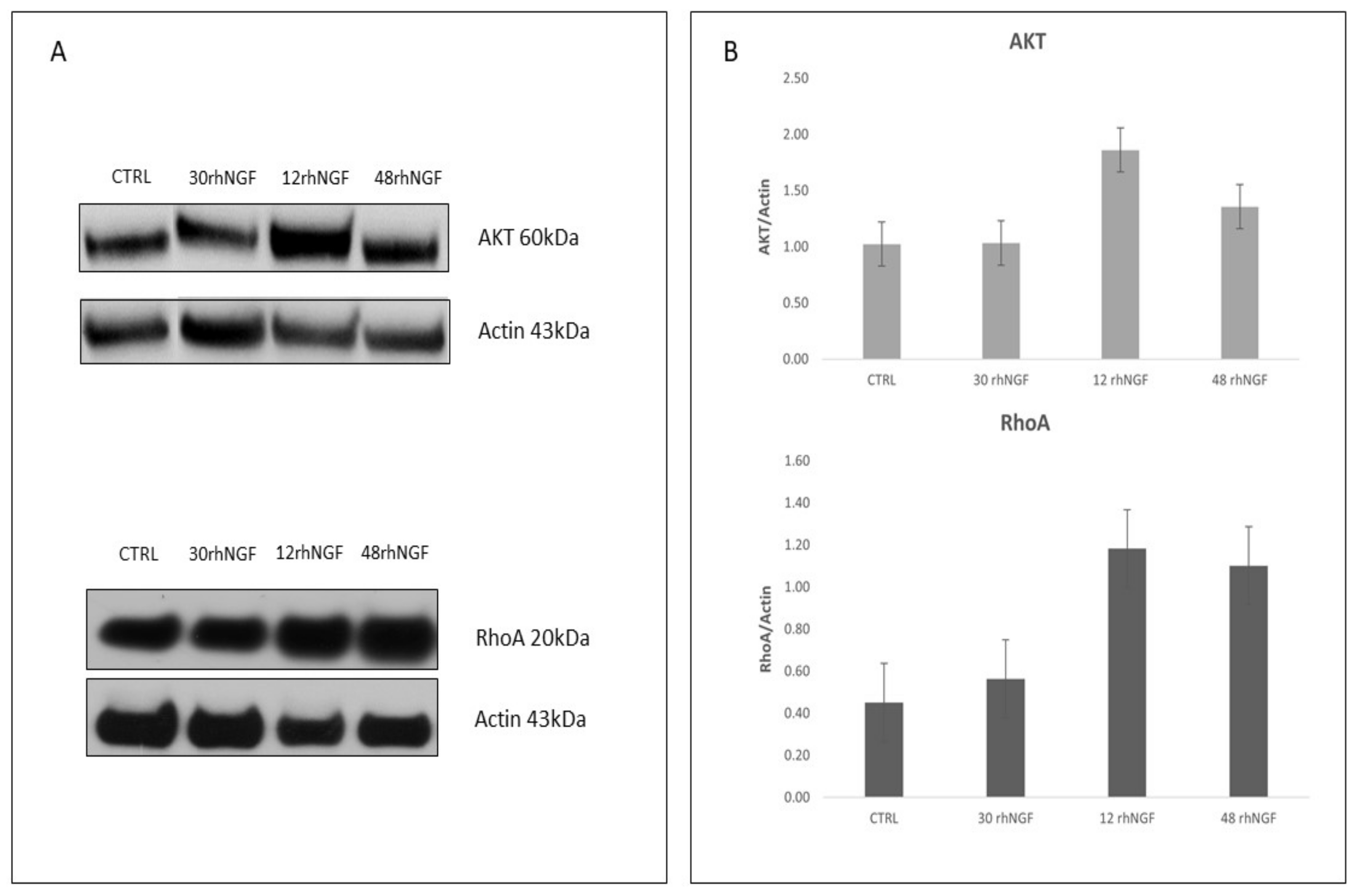 Ijms 23 03597 g004 Ijms 23 03597 g004